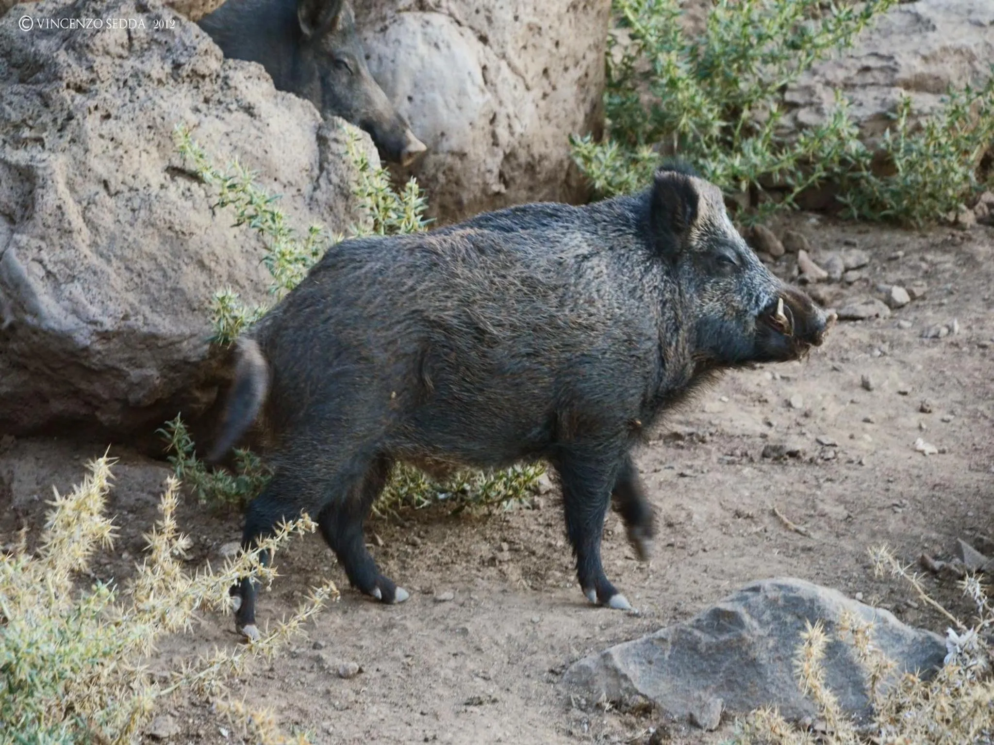 Hiking in Country House S'Ozzastru