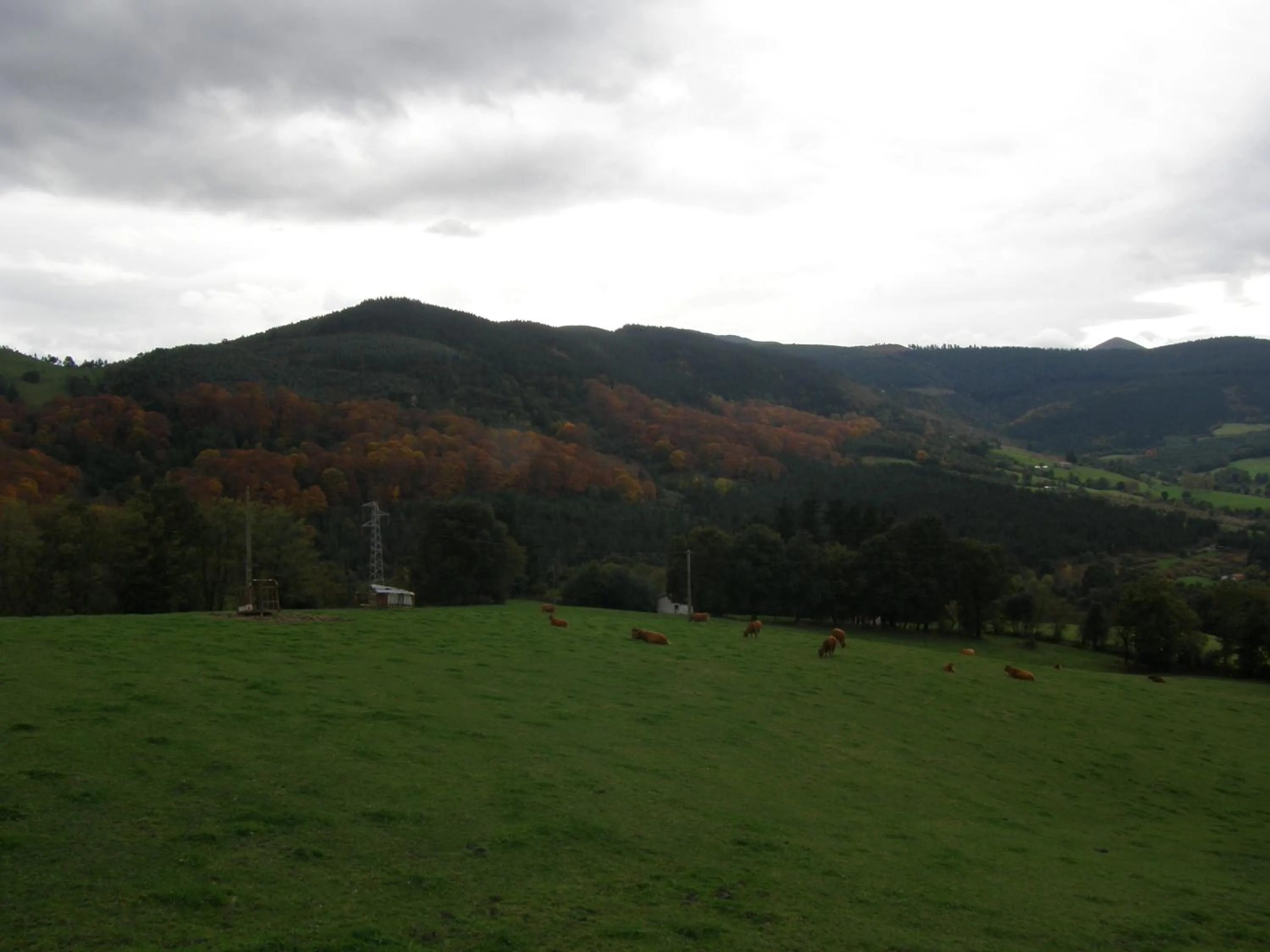 Natural landscape in Mendi Alai