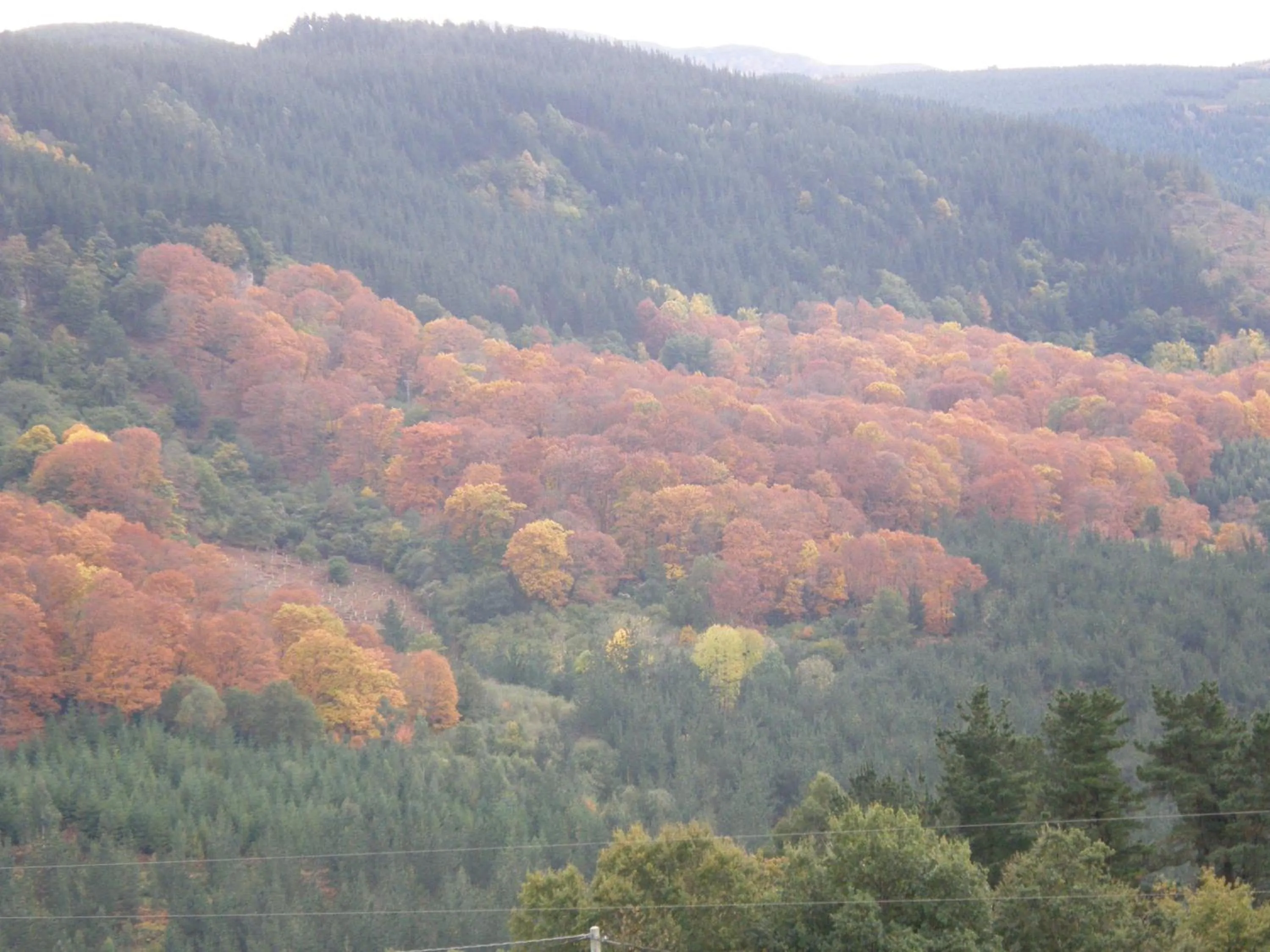 Natural landscape in Mendi Alai