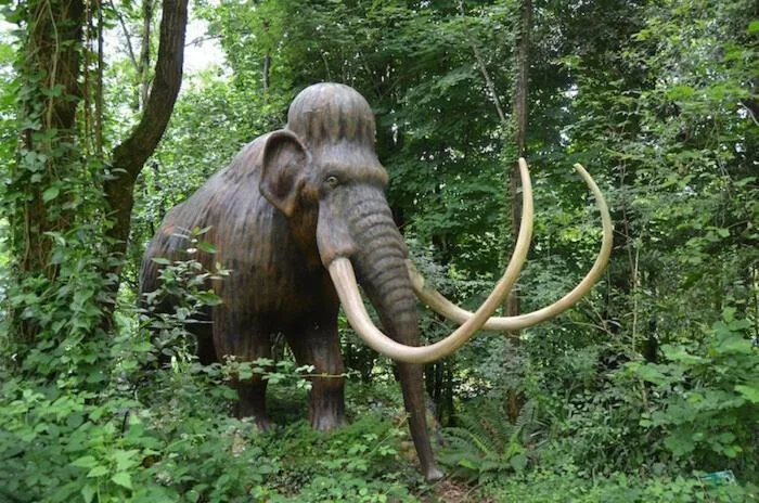Children play ground in Mendi Alai