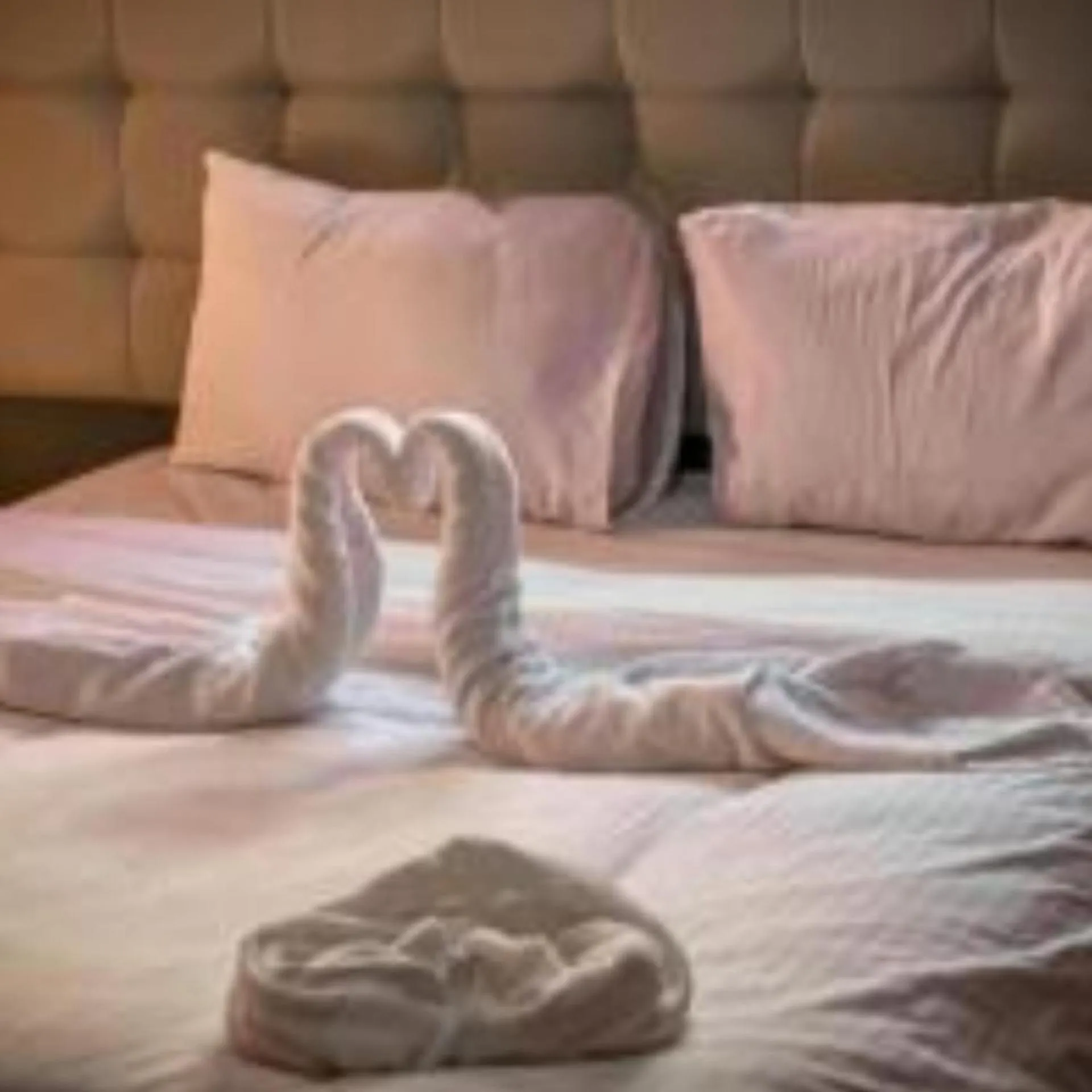 Bed in Traditions of Wadi Rum camp & jeep tour