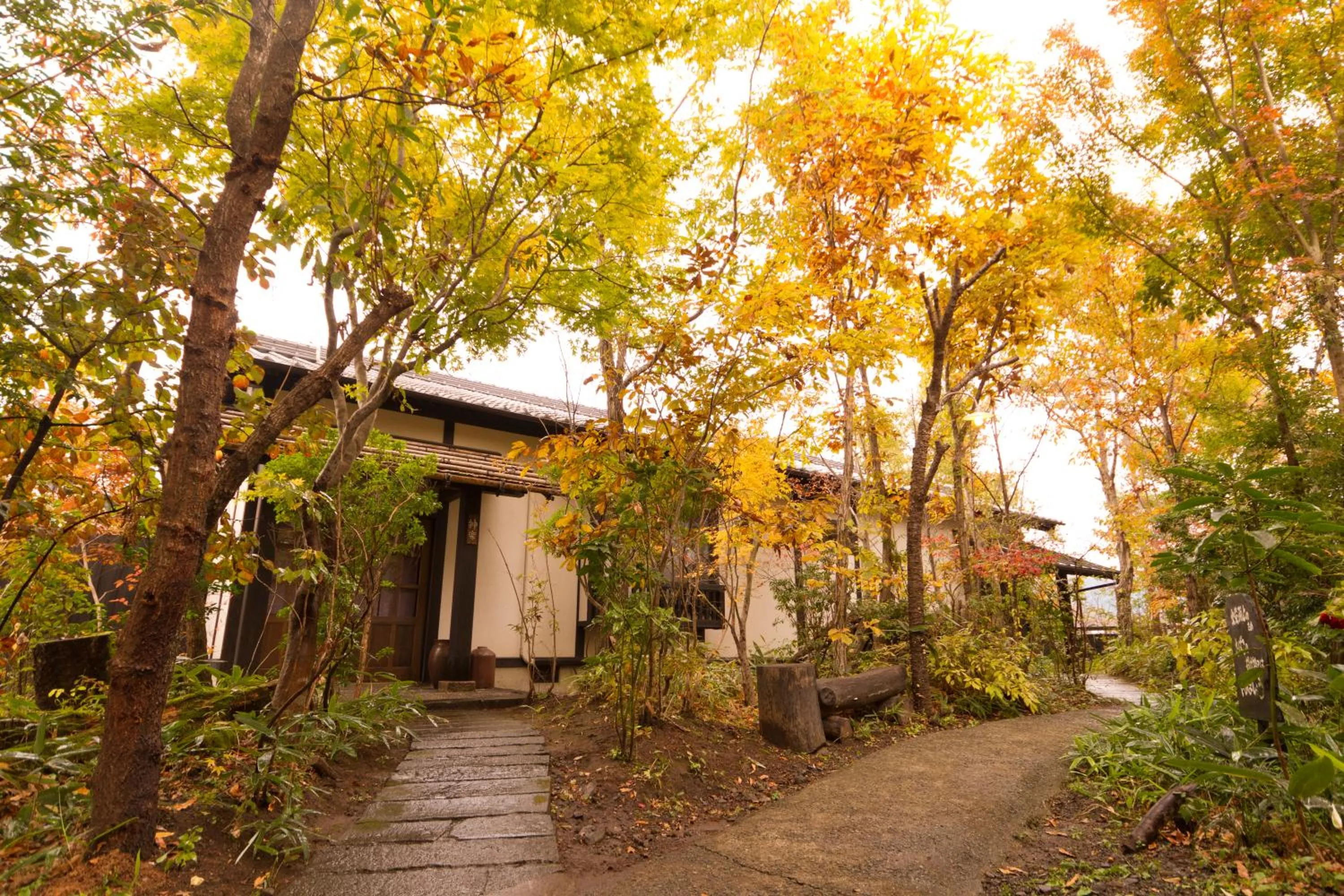 Photo of the whole room in Shinwaen