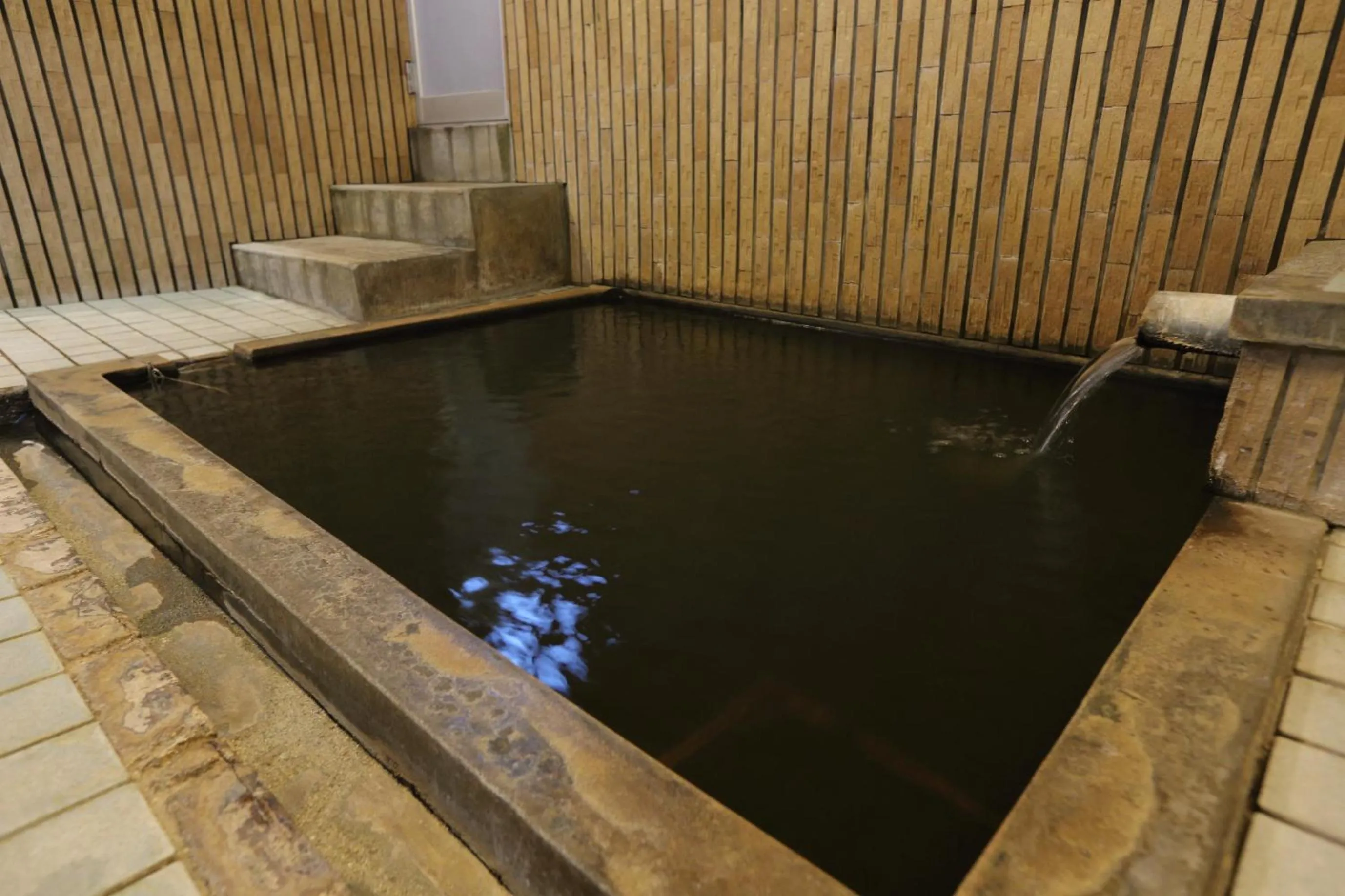Hot Spring Bath in Shinwaen