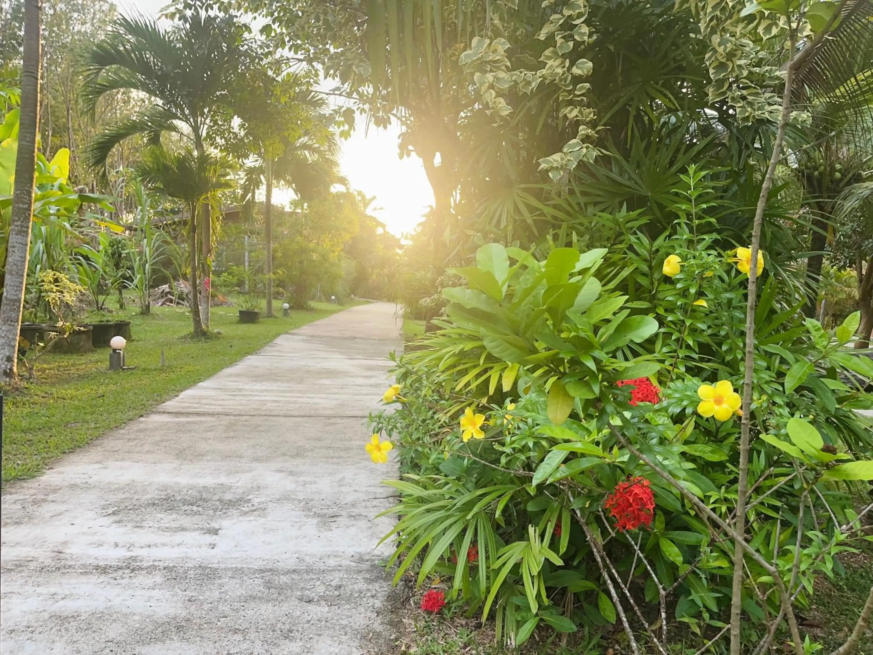 Garden view in Najjamee Bungalows