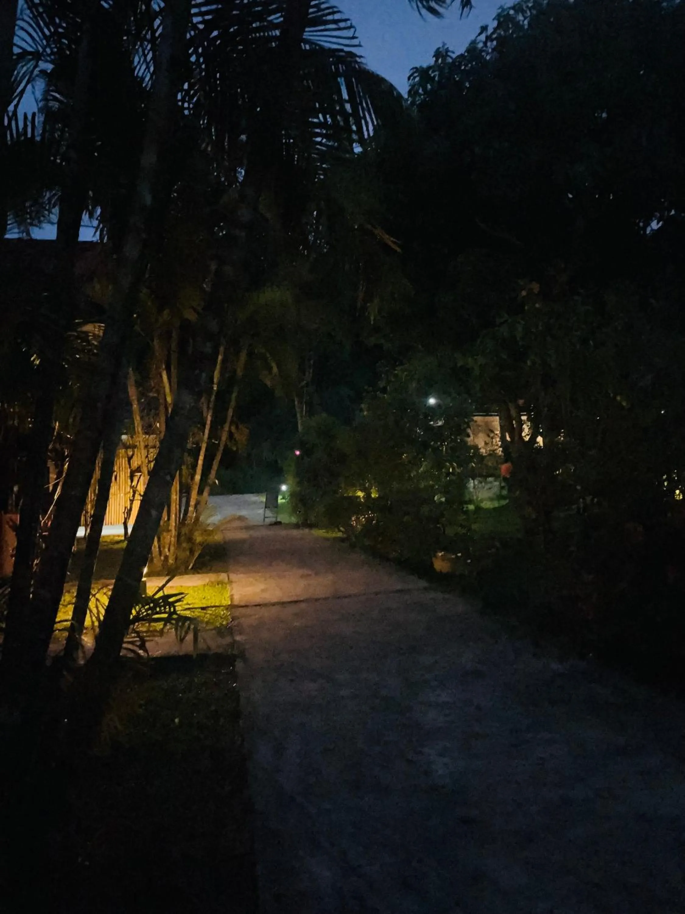 Garden in Najjamee Bungalows