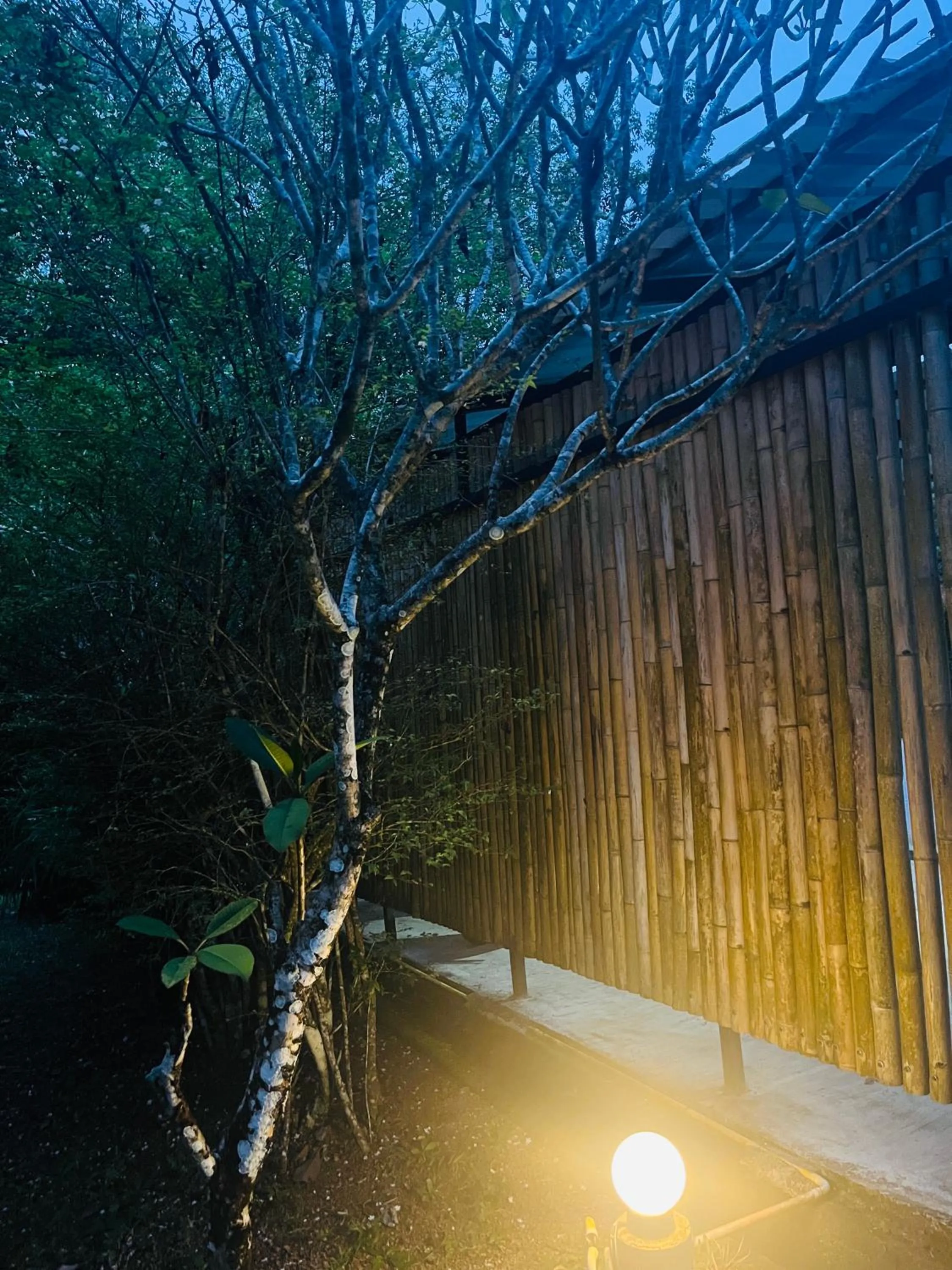 Garden in Najjamee Bungalows