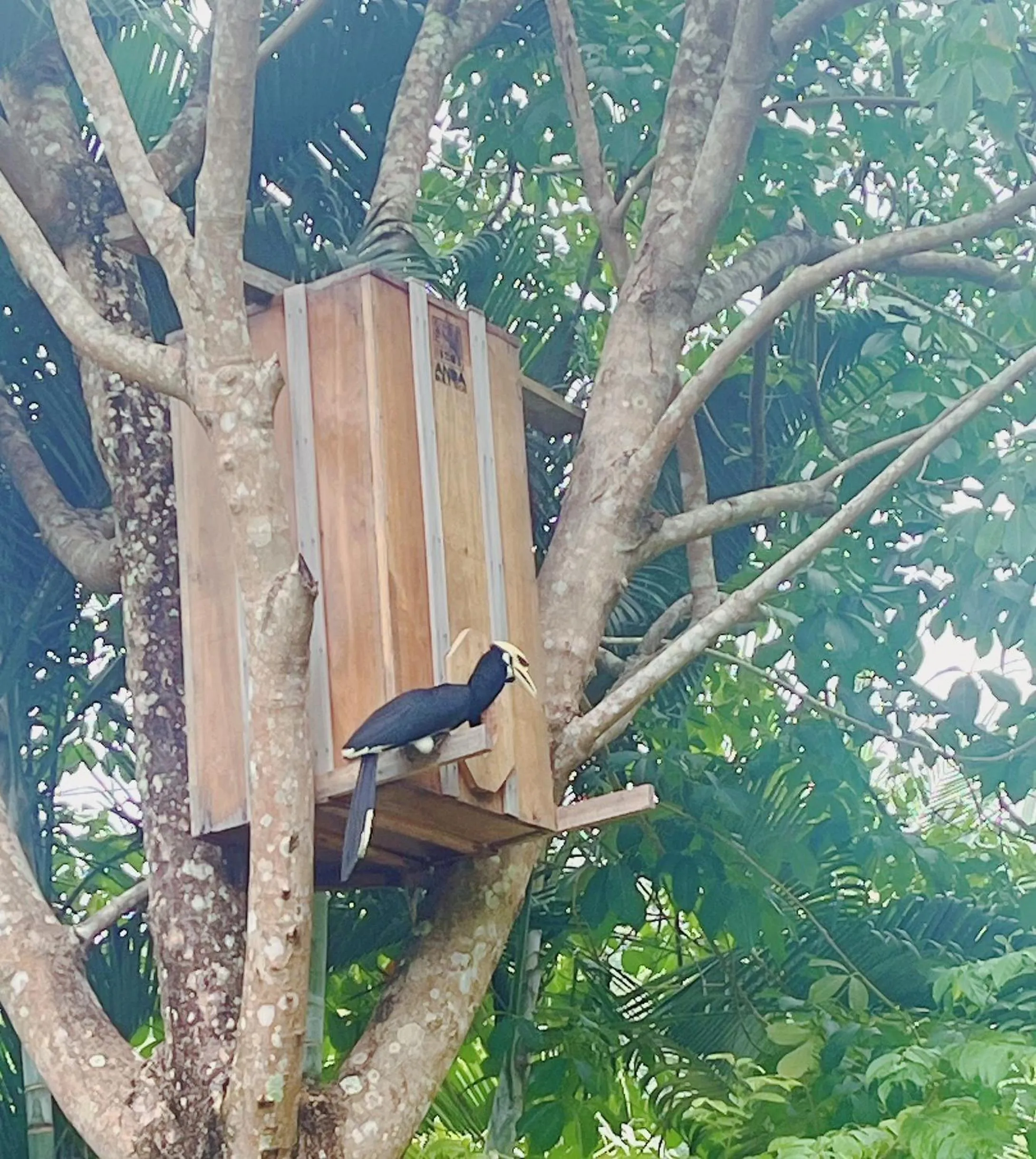 Natural landscape in Najjamee Bungalows