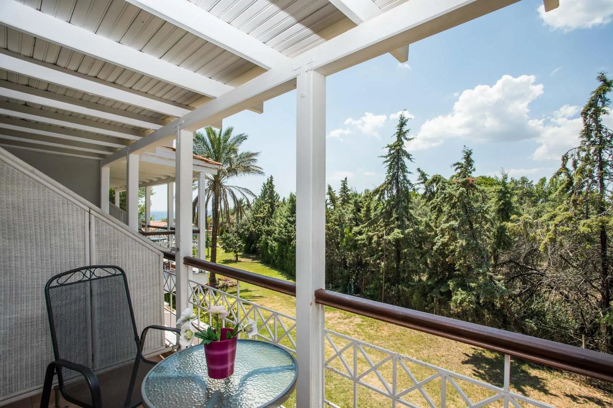 Balcony/Terrace in Coral Blue Beach Hotel Gerakini