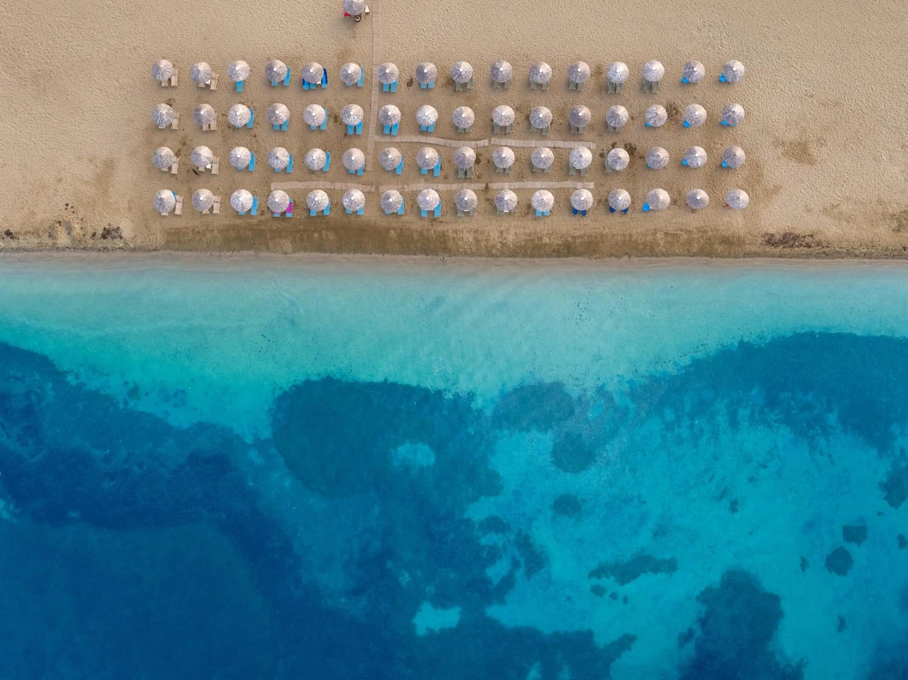 Natural landscape in Coral Blue Beach Hotel Gerakini