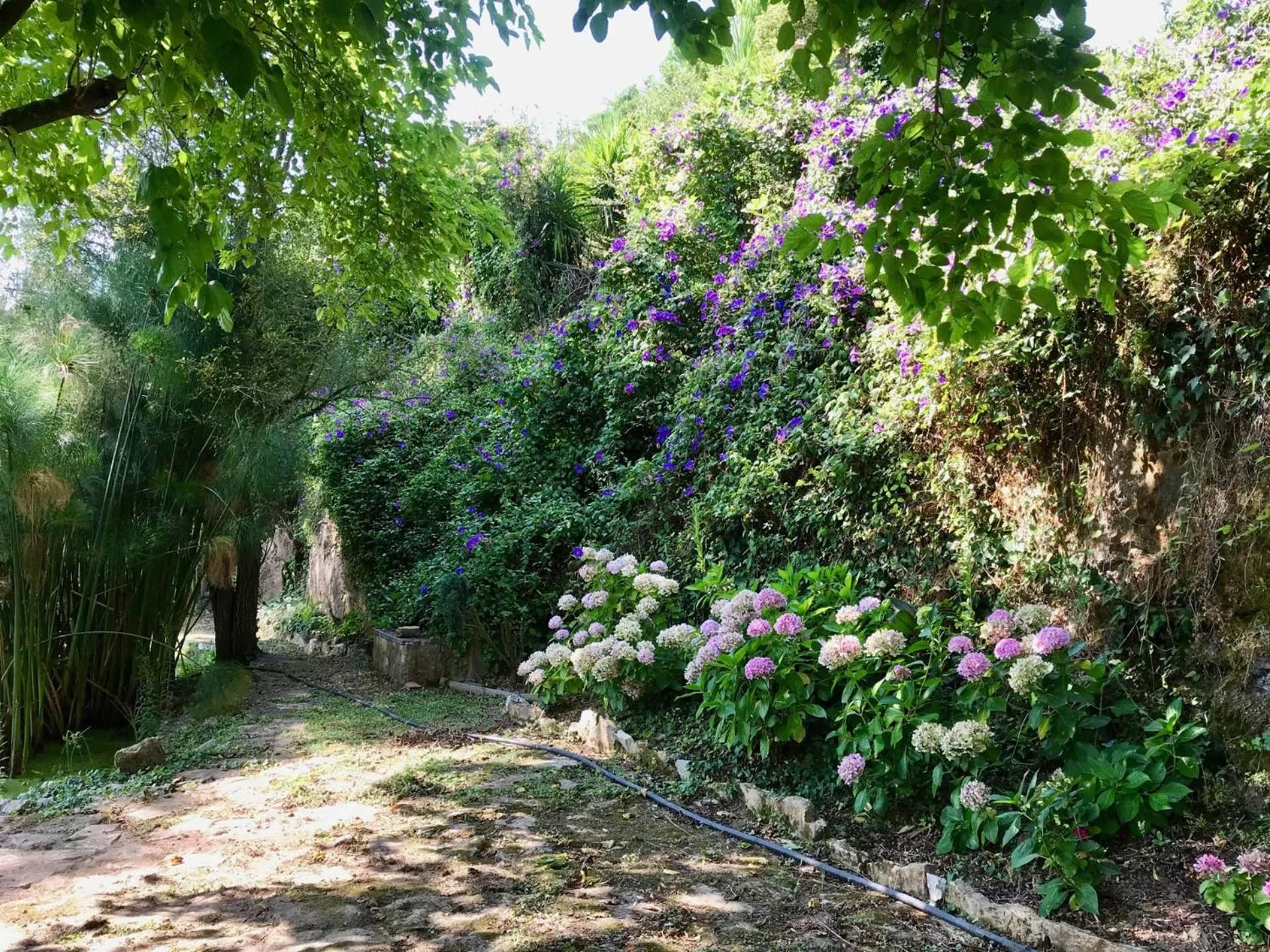 Garden in Vida-Vi, Country House and B&B