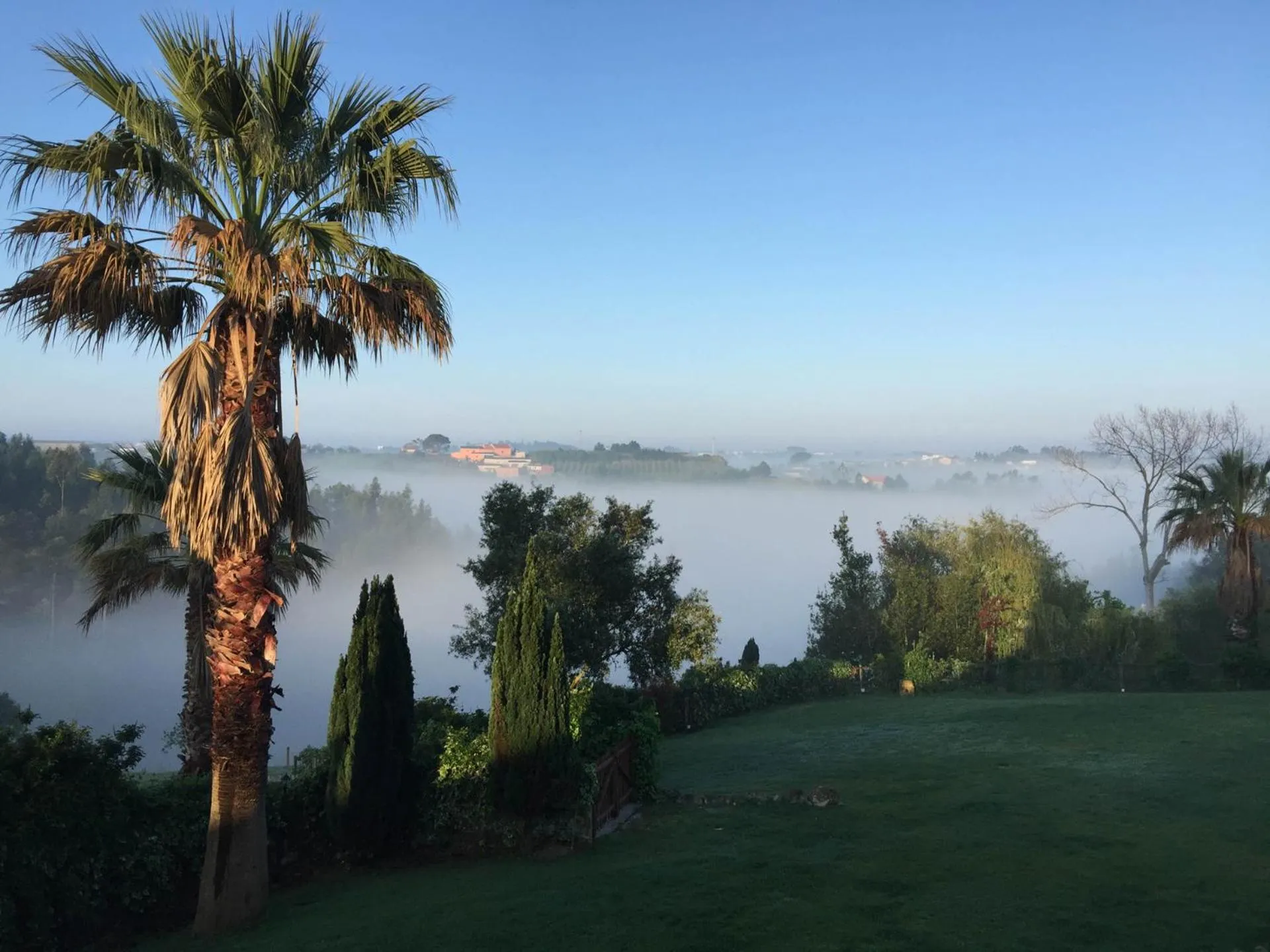 Natural landscape in Vida-Vi, Country House and B&B