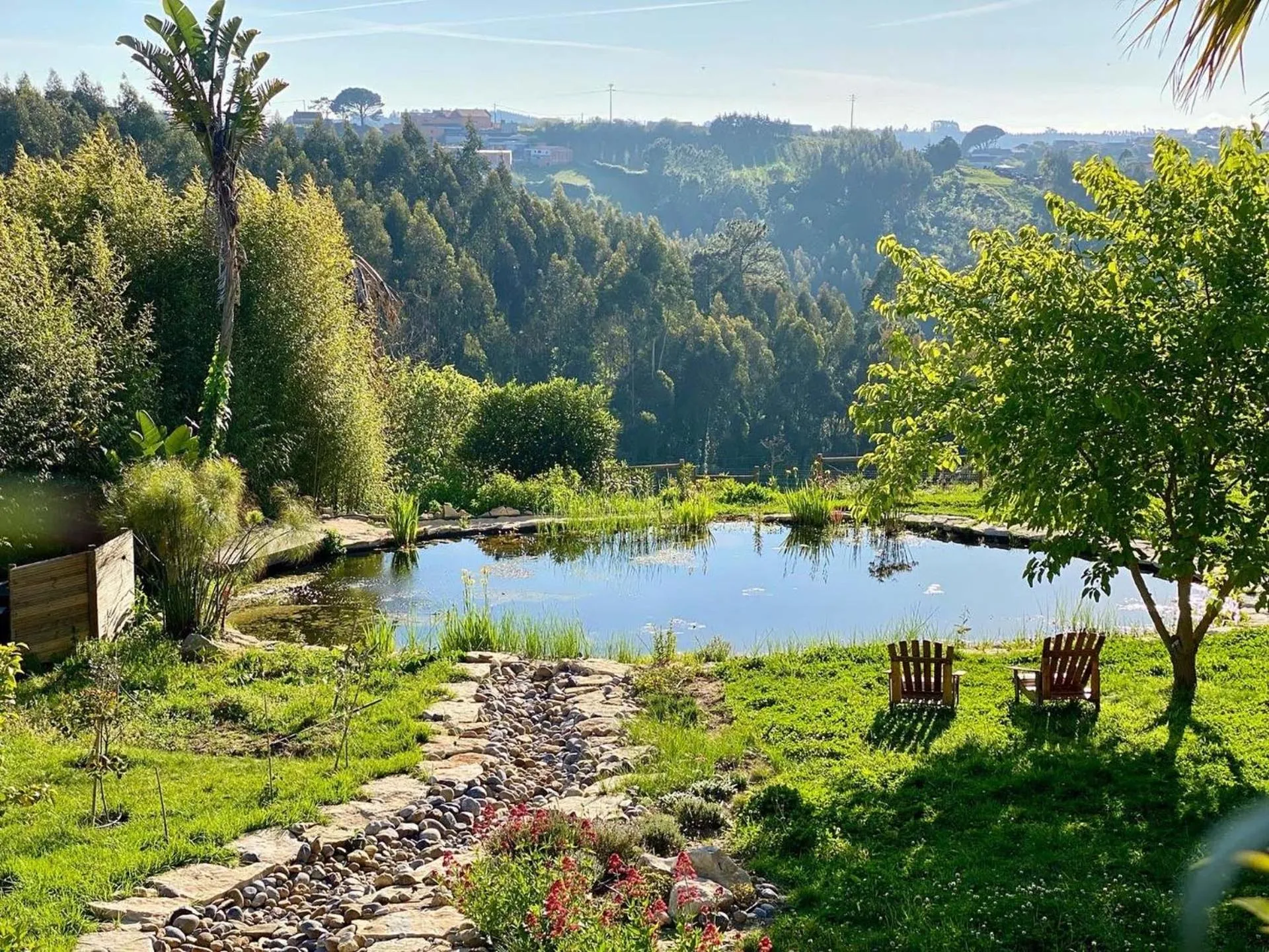 Natural landscape in Vida-Vi, Country House and B&B