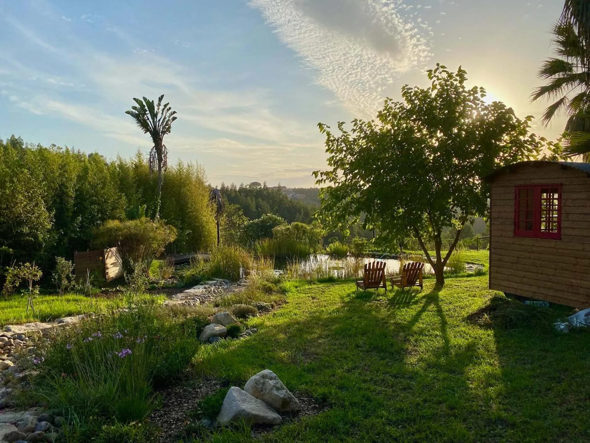 Natural landscape in Vida-Vi, Country House and B&B