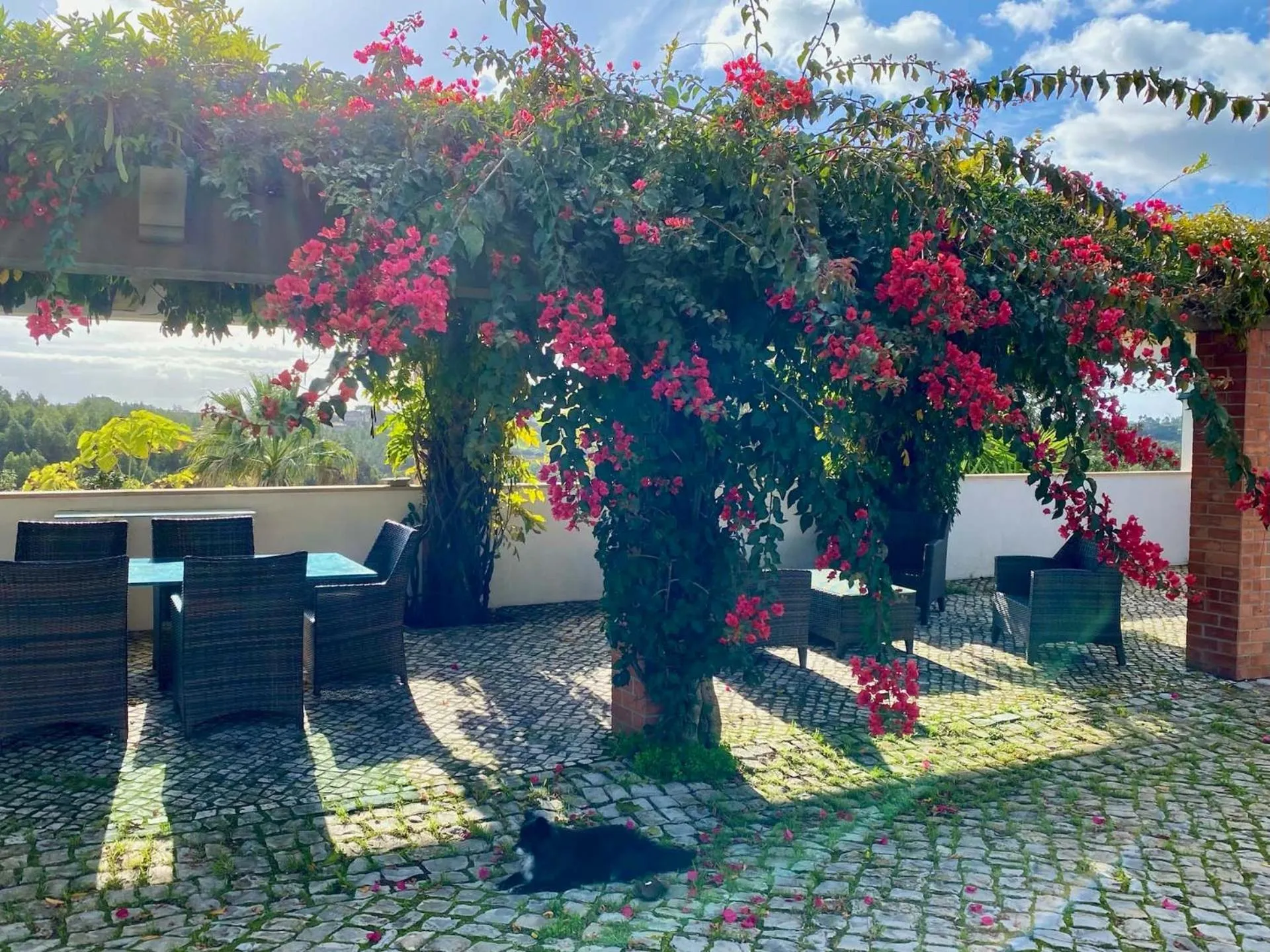 Garden in Vida-Vi, Country House and B&B