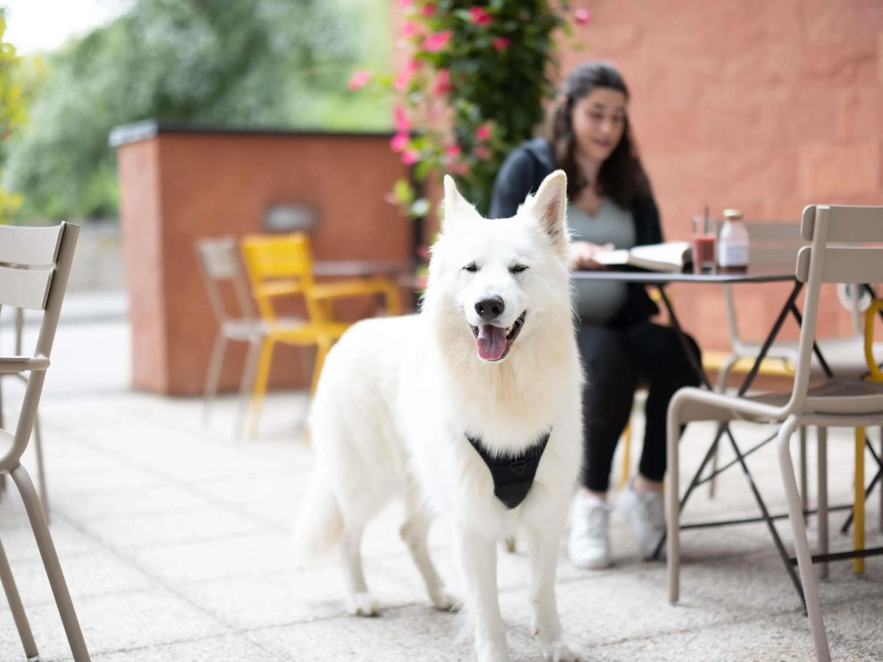 Other in Novotel Suites Rouen Normandie