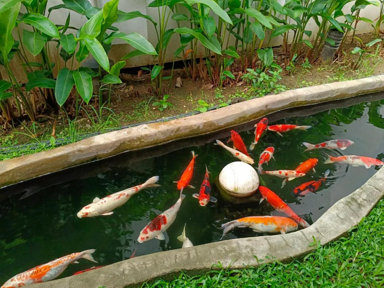 Area and facilities in Khammon Lanna Resort Chiang Mai