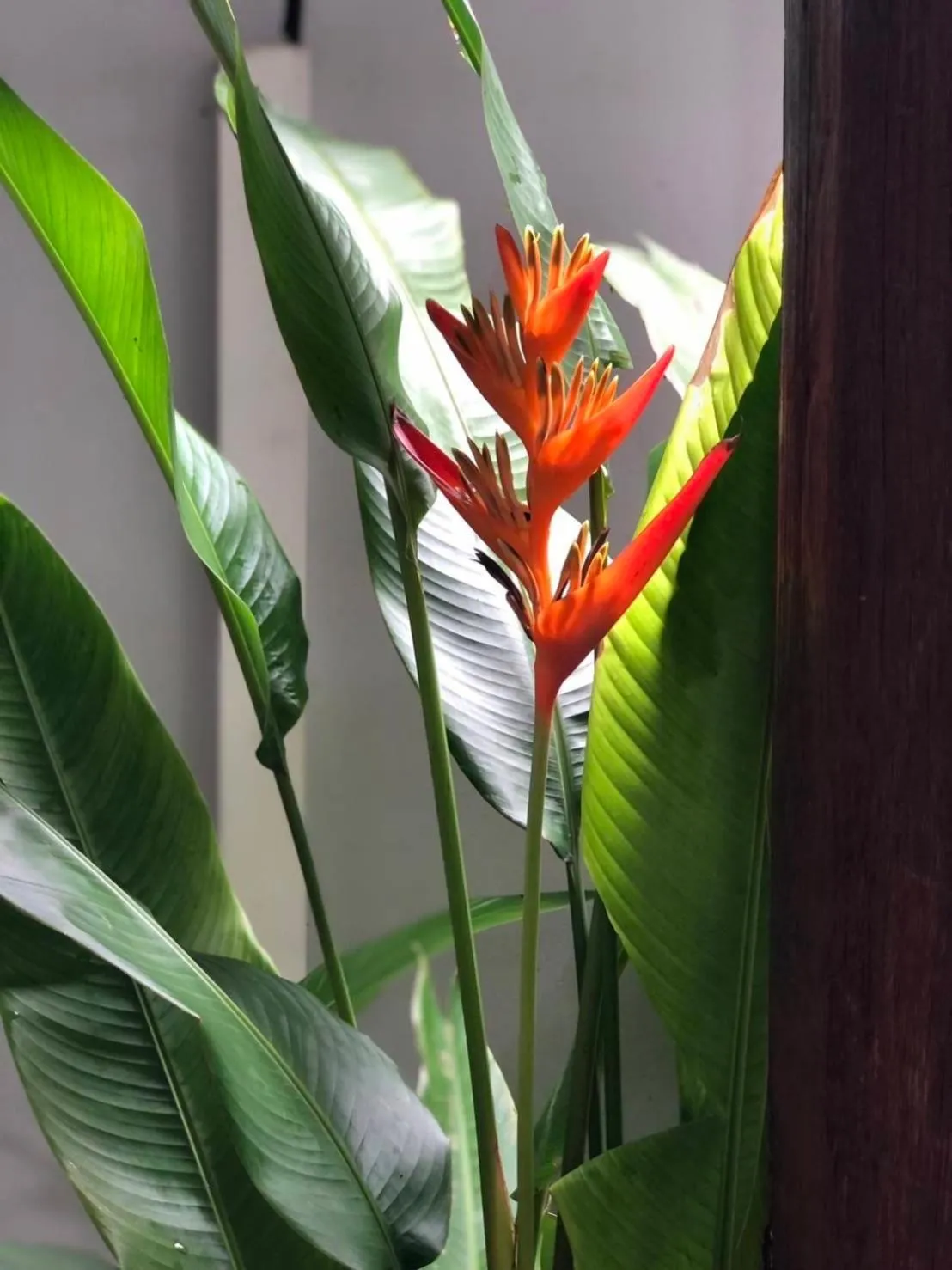 Area and facilities in Khammon Lanna Resort Chiang Mai