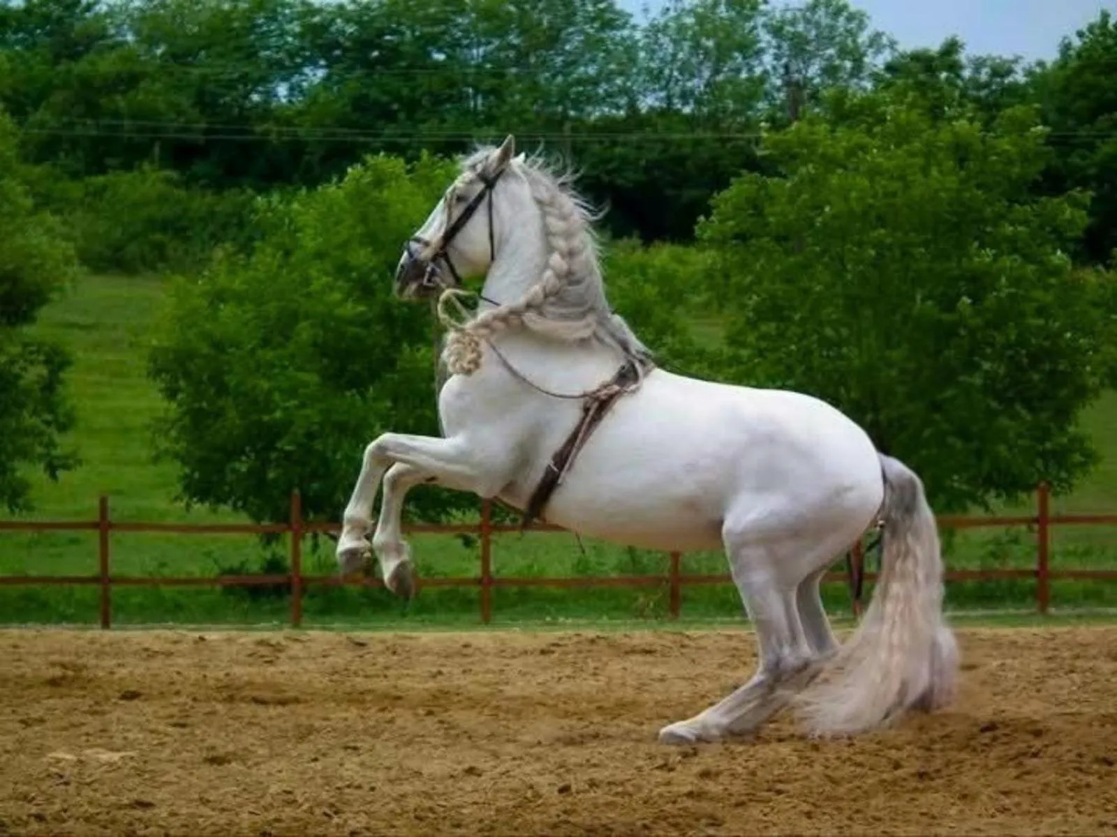 Horse-riding in Mátyus Udvarház Kengyel Fogadó Eger