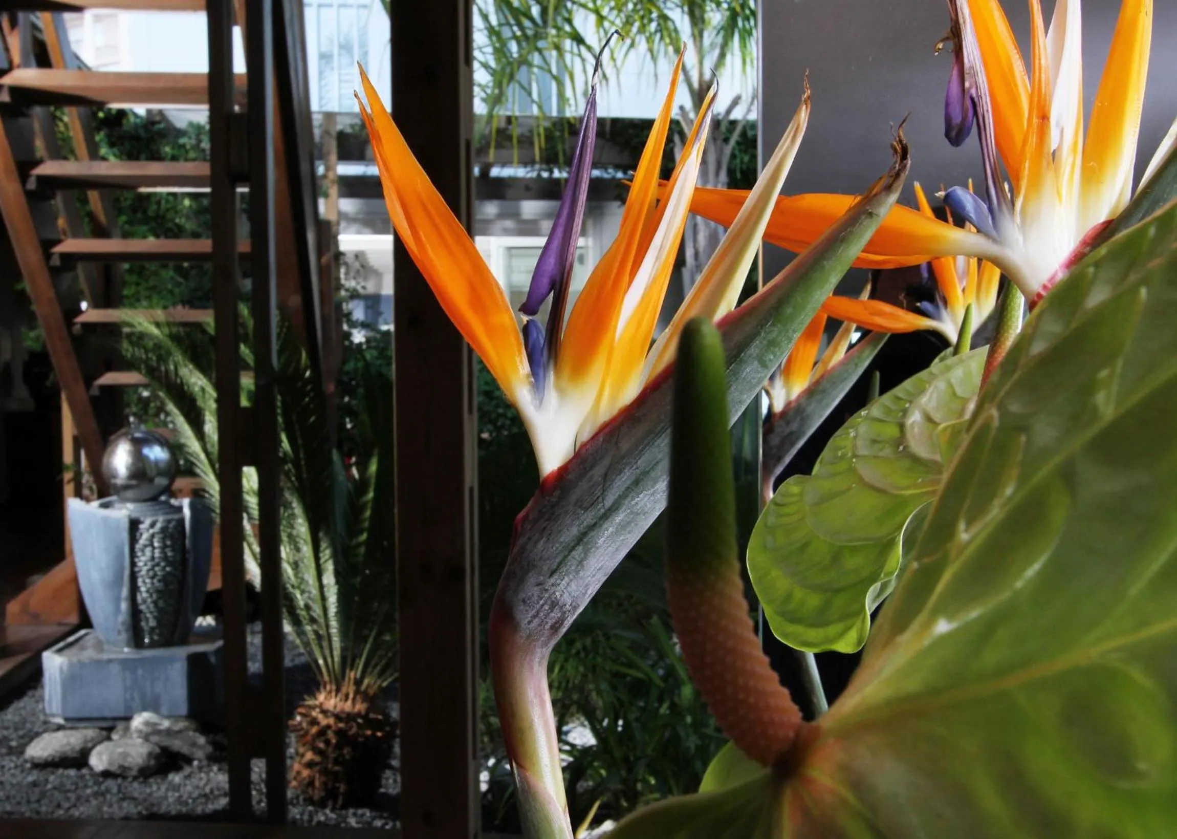 Other in Bleu Mer Duplex & Suites