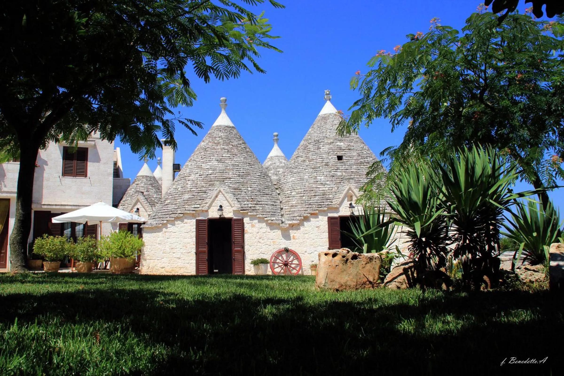 Garden in Masseria Peppeturro