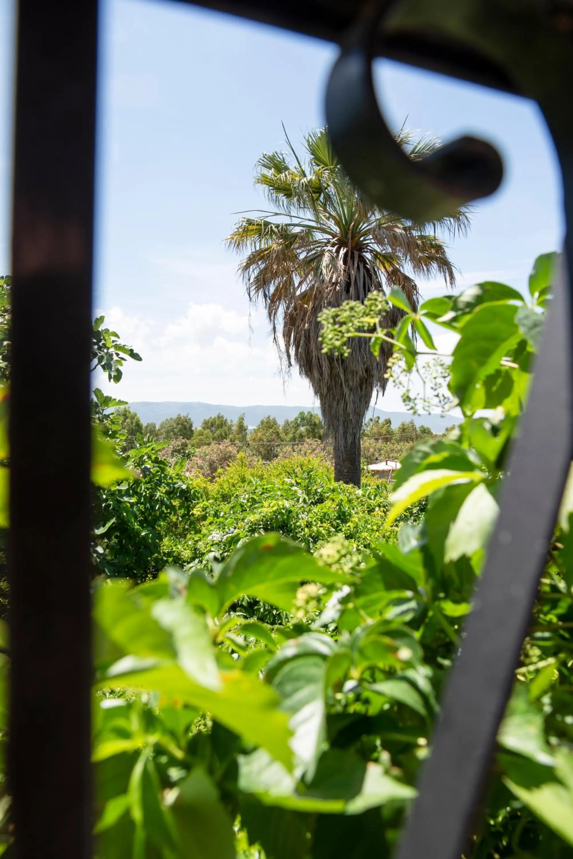 Natural landscape in Le Calle