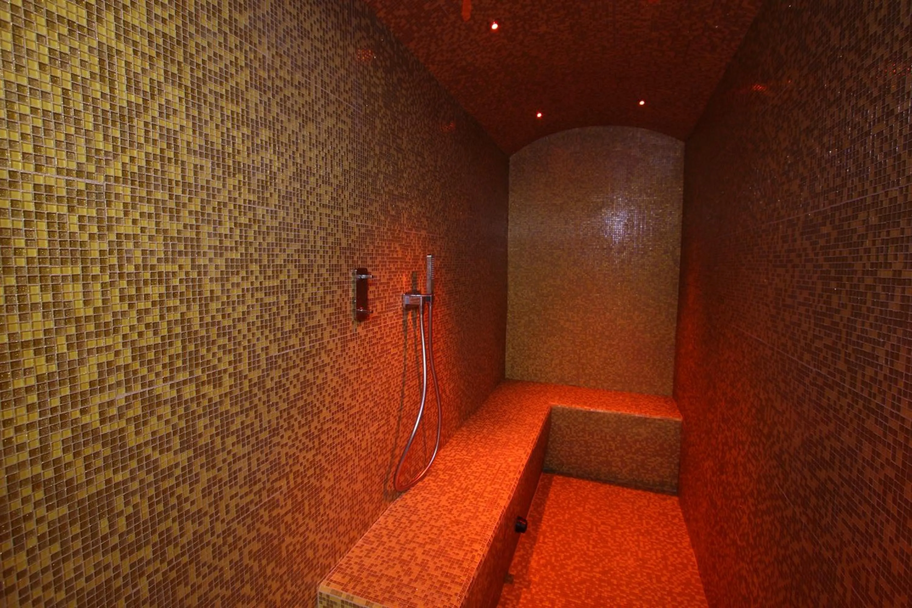 Steam room in ViLLA ANNETTE