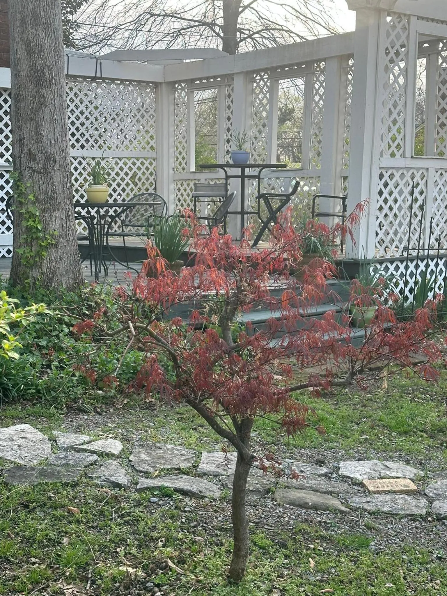 Patio in Belmont Inn
