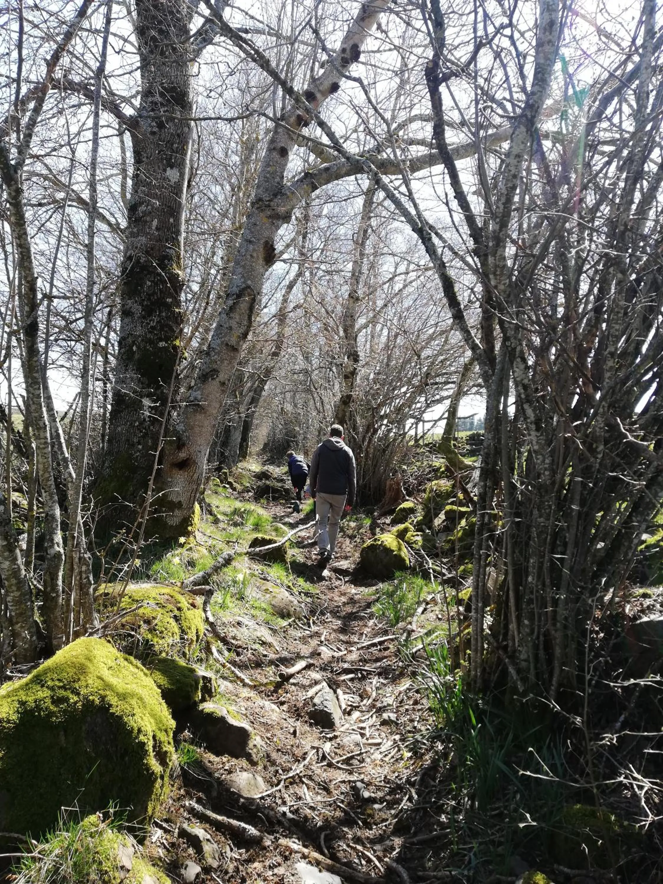 Nearby landmark in Best Western Le Relais de Laguiole Hôtel & Spa
