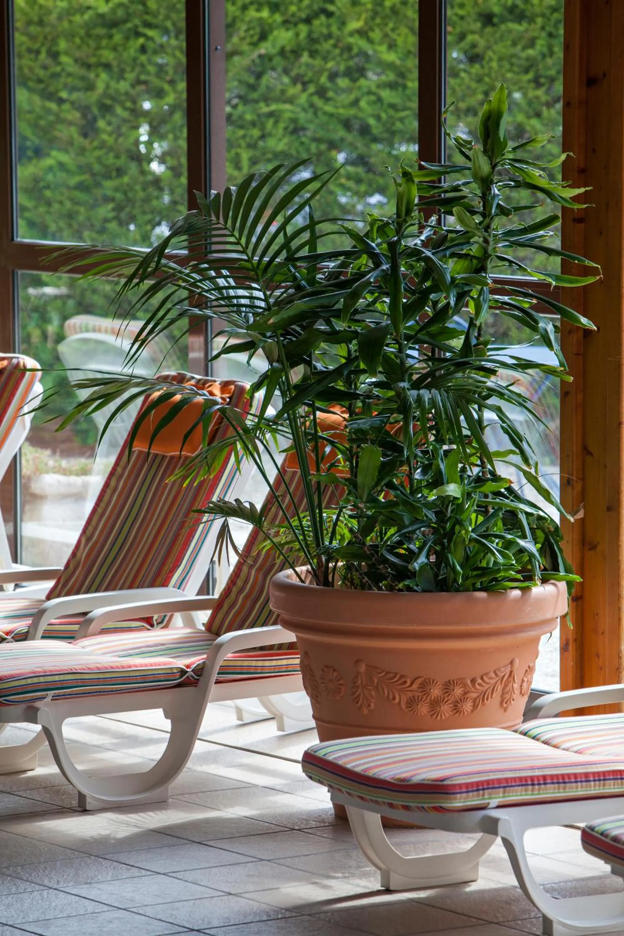 Solarium in Best Western Le Relais de Laguiole Hôtel & Spa