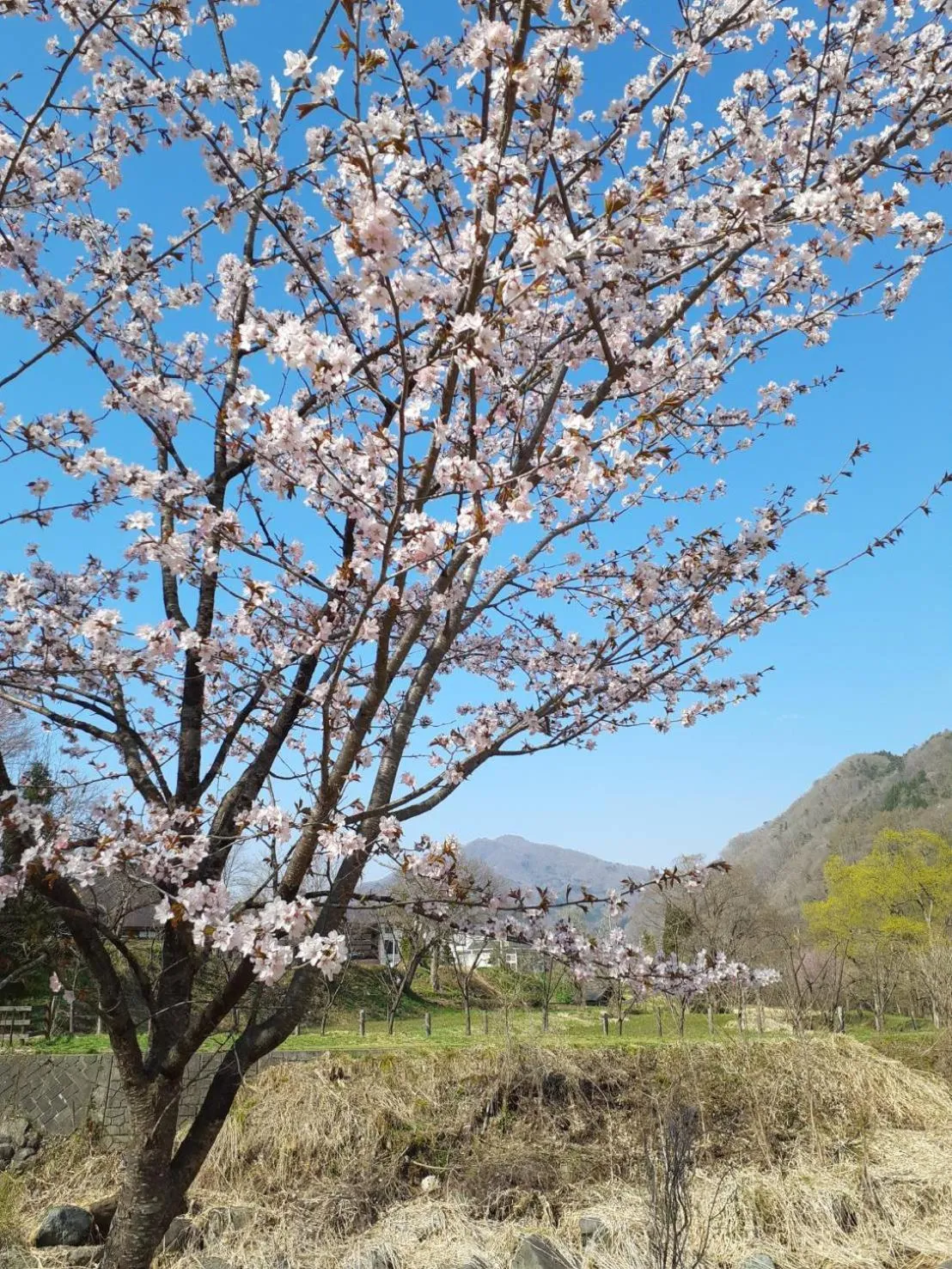 HAKUBA IKEDA LIFE KAN APARTMENTS