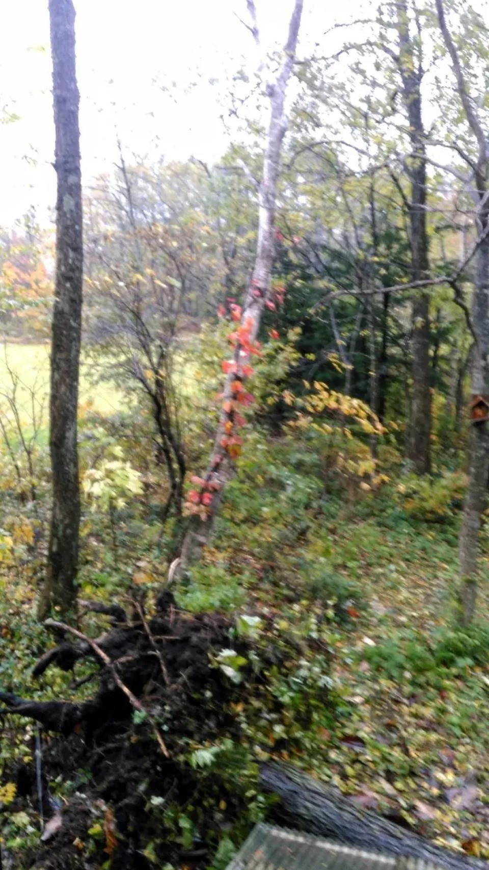 HAKUBA IKEDA LIFE KAN APARTMENTS