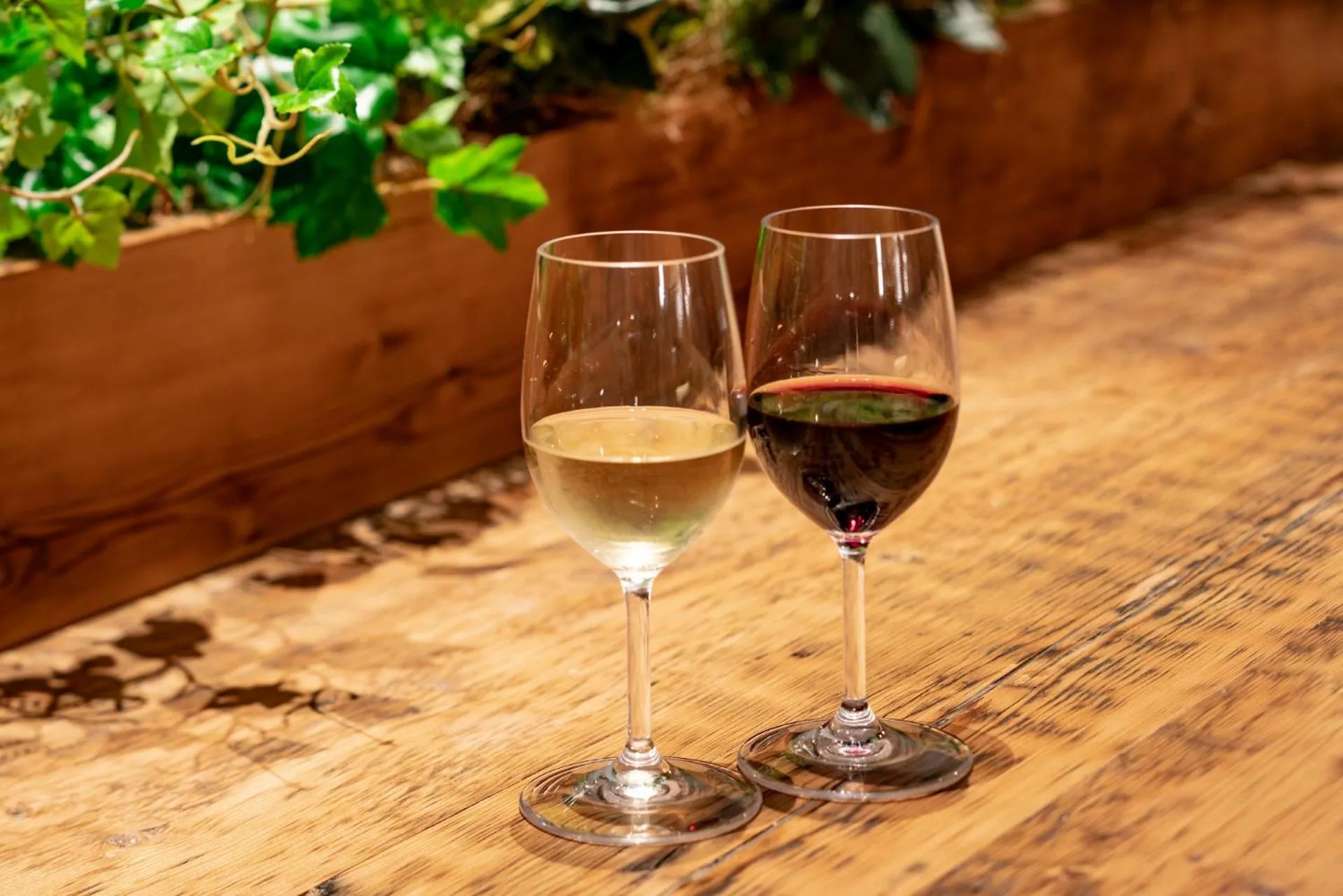 Drinks in HOTEL FORZA HAKATAEKI CHIKUSHIGUCHI Ⅱ