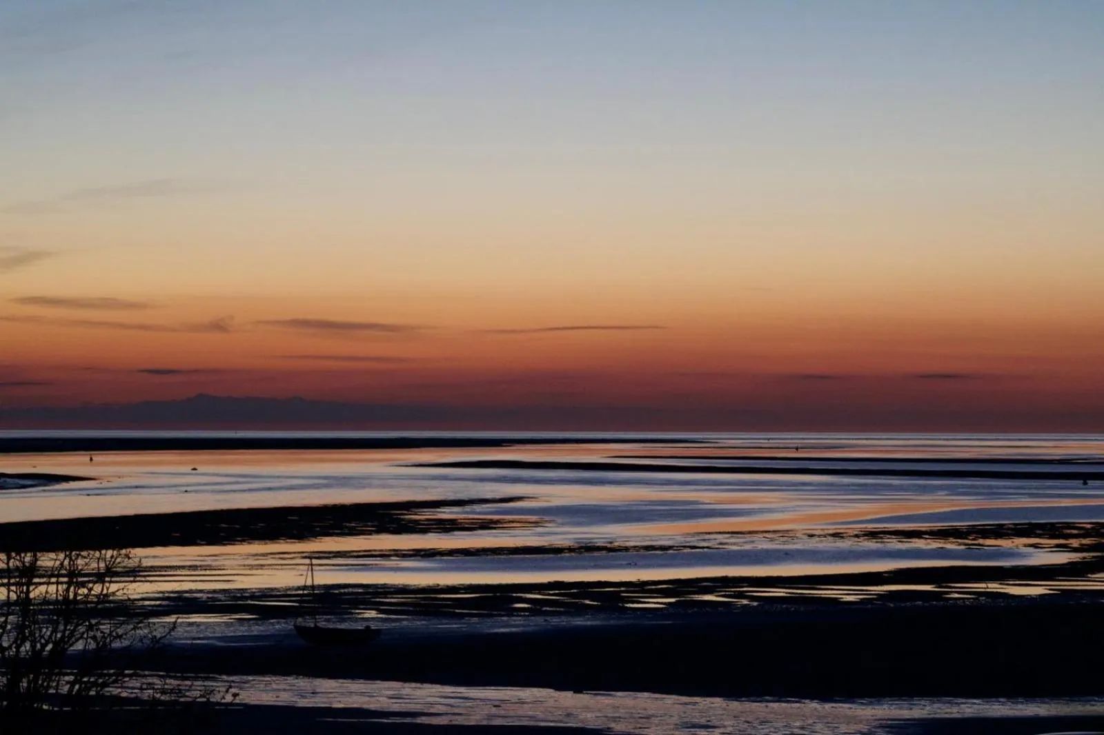 Beach in The Commodore Hotel