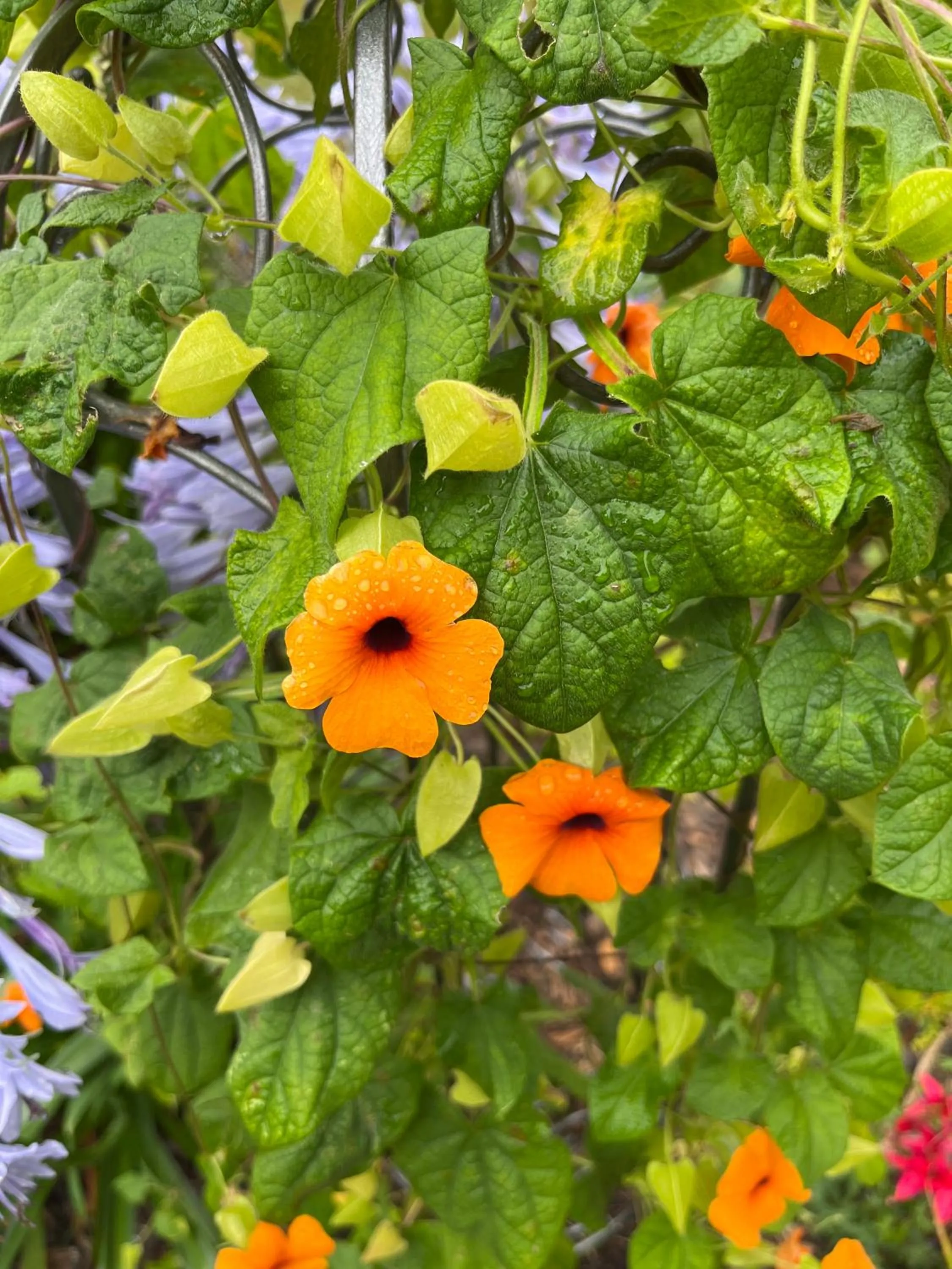 Spring in Hotel Le Branhoc - Brit Hotel Auray