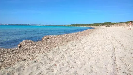 Le Finestre Su Porta Carrese - Luxury Rooms