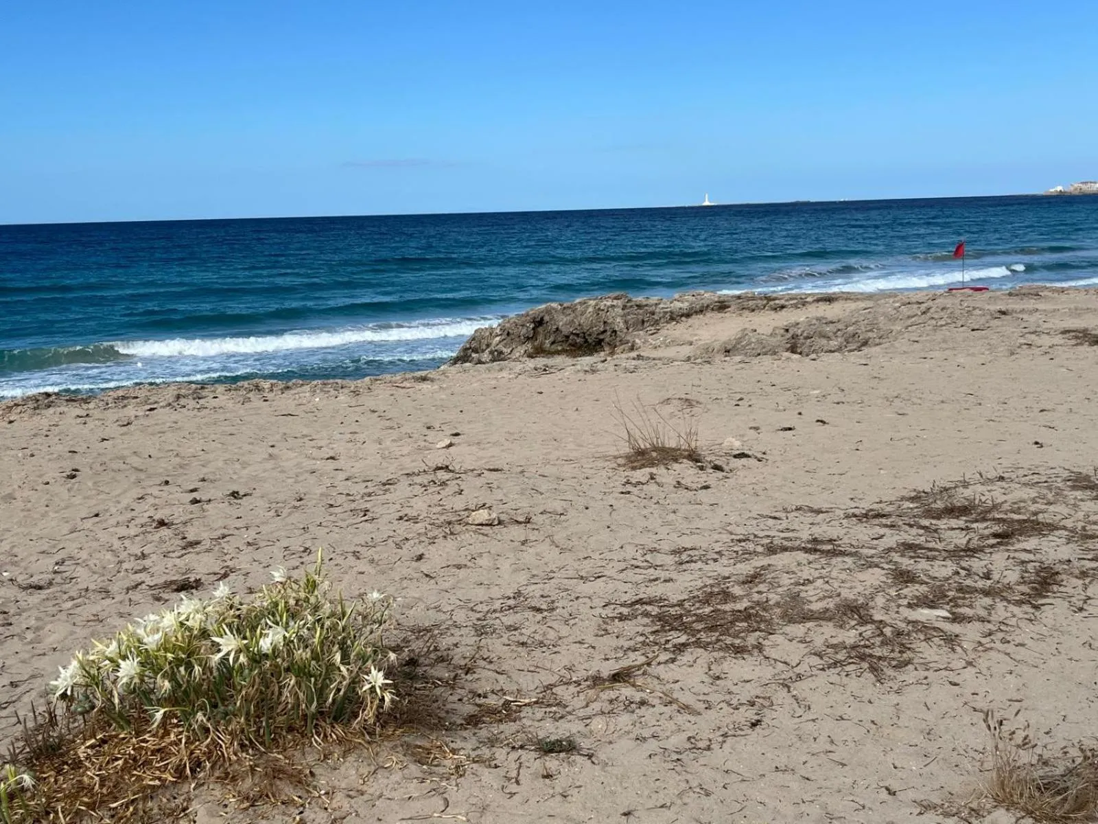 Le Finestre Su Porta Carrese - Luxury Rooms