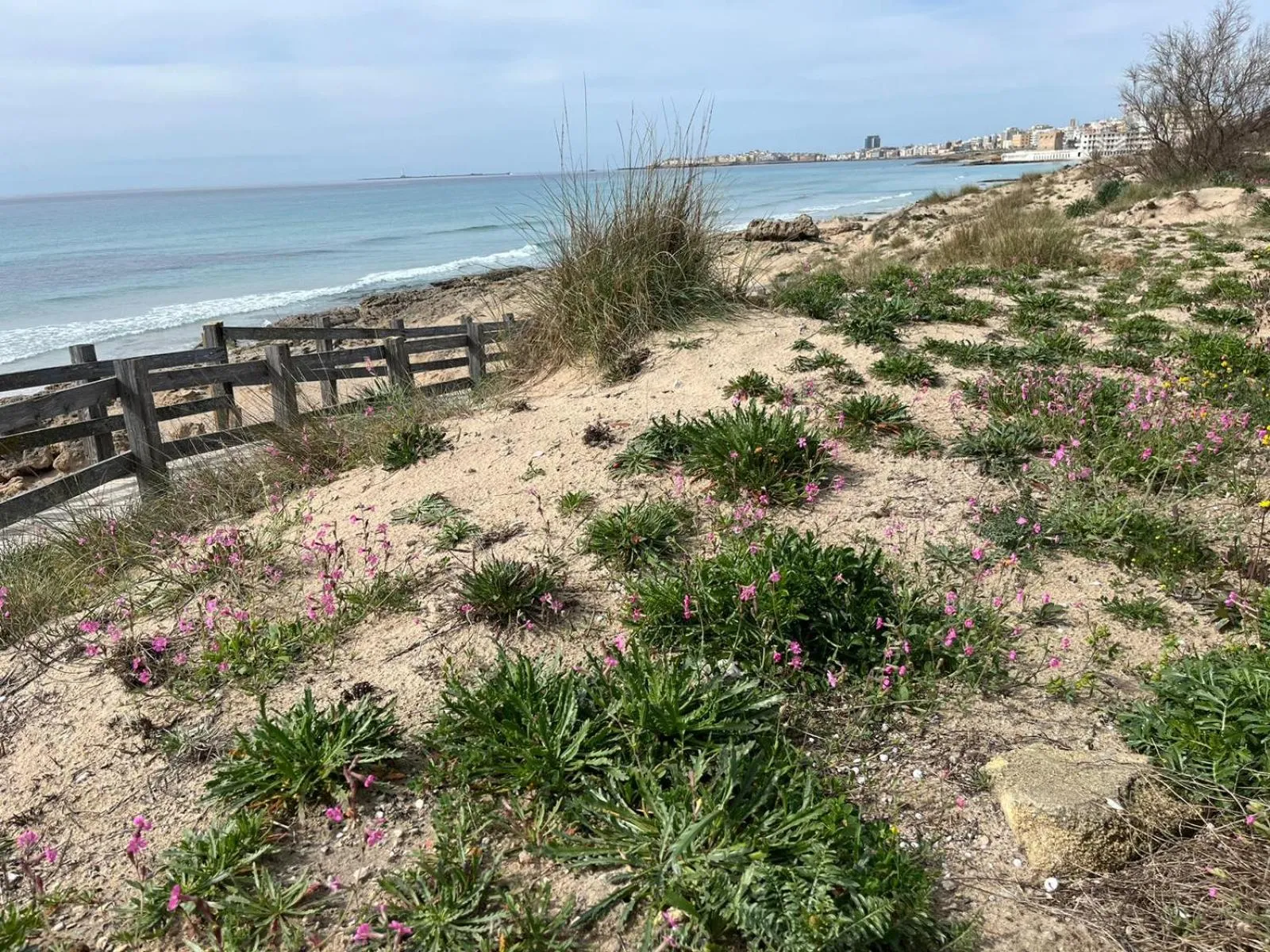 Le Finestre Su Porta Carrese - Luxury Rooms