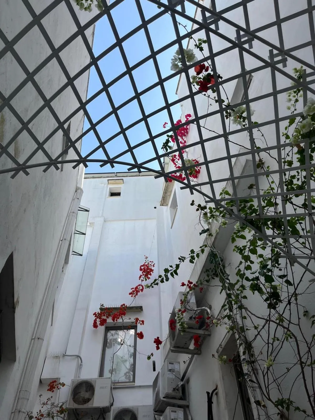 Le Finestre Su Porta Carrese - Luxury Rooms