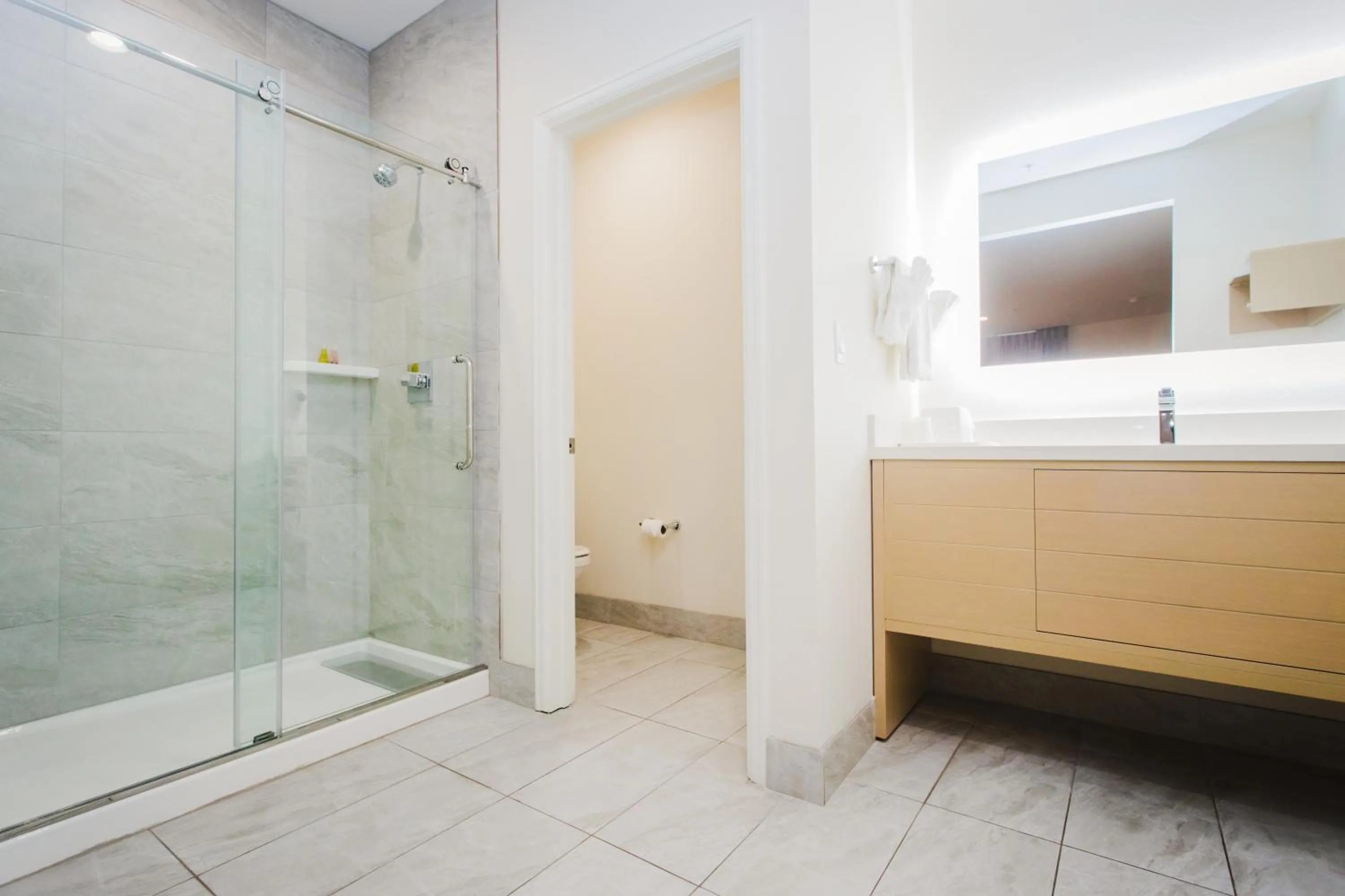 Bathroom in Palace Inn Blue Federal Road