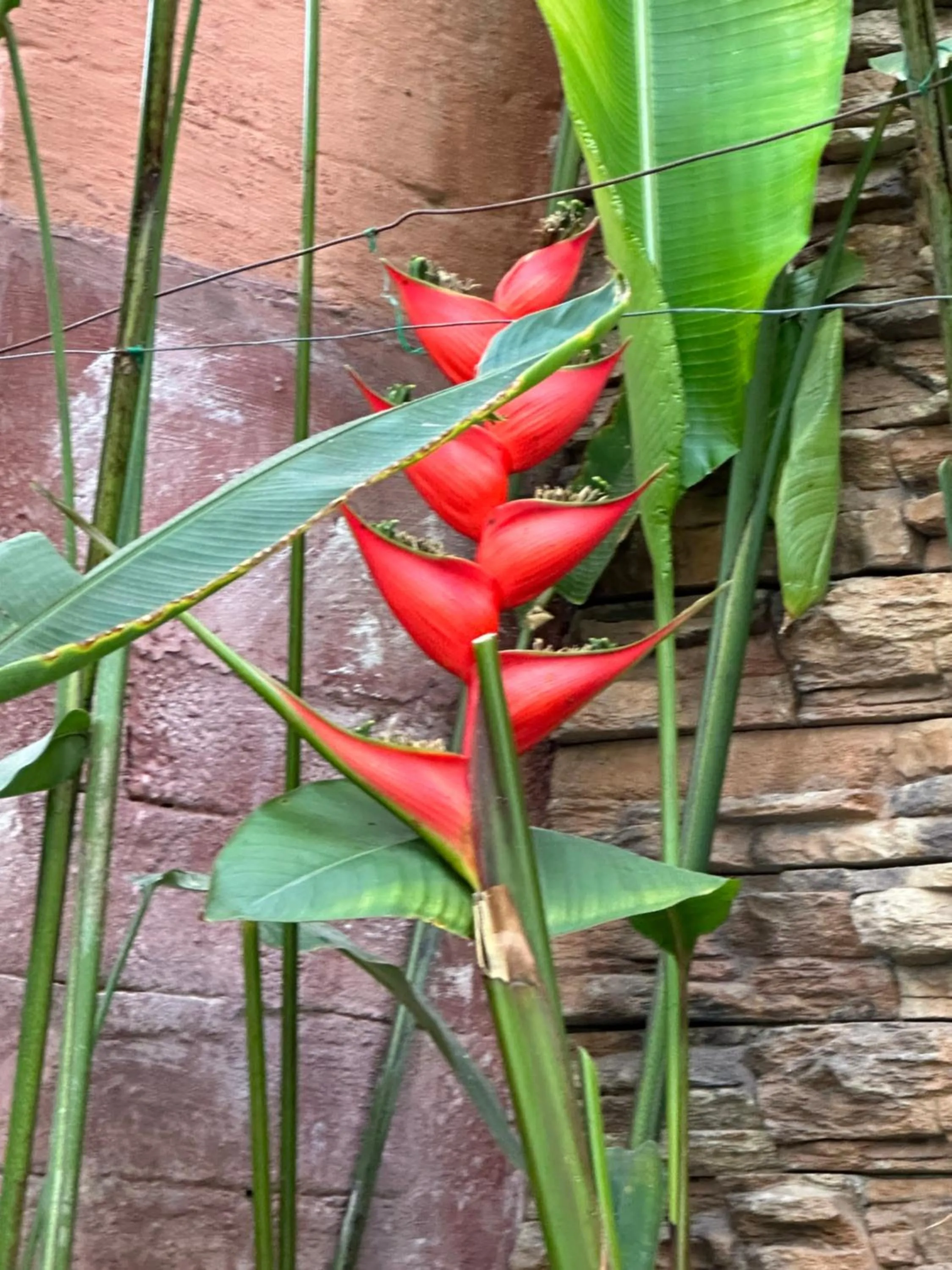 Casa Romance Escondido