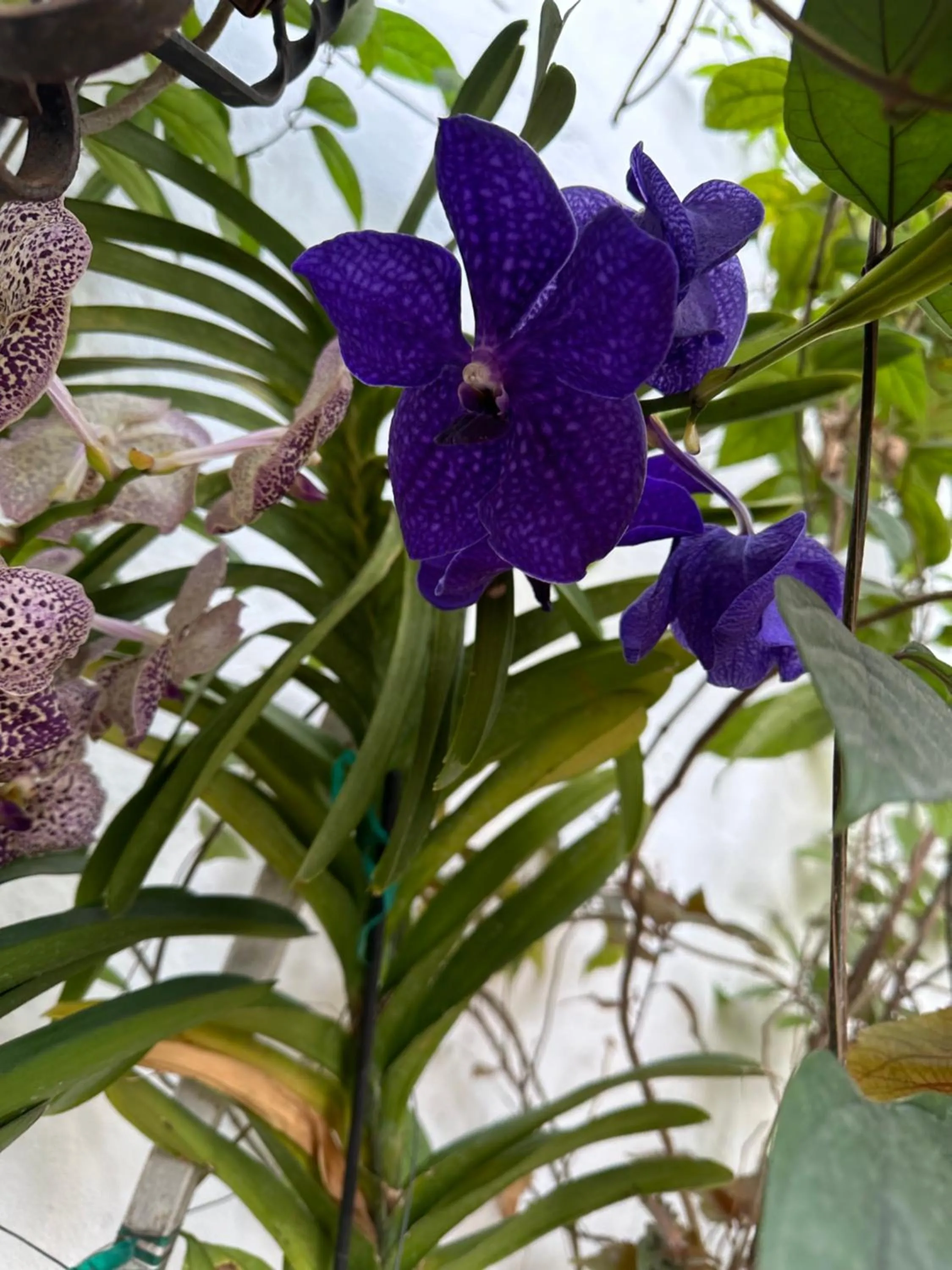 Casa Romance Escondido