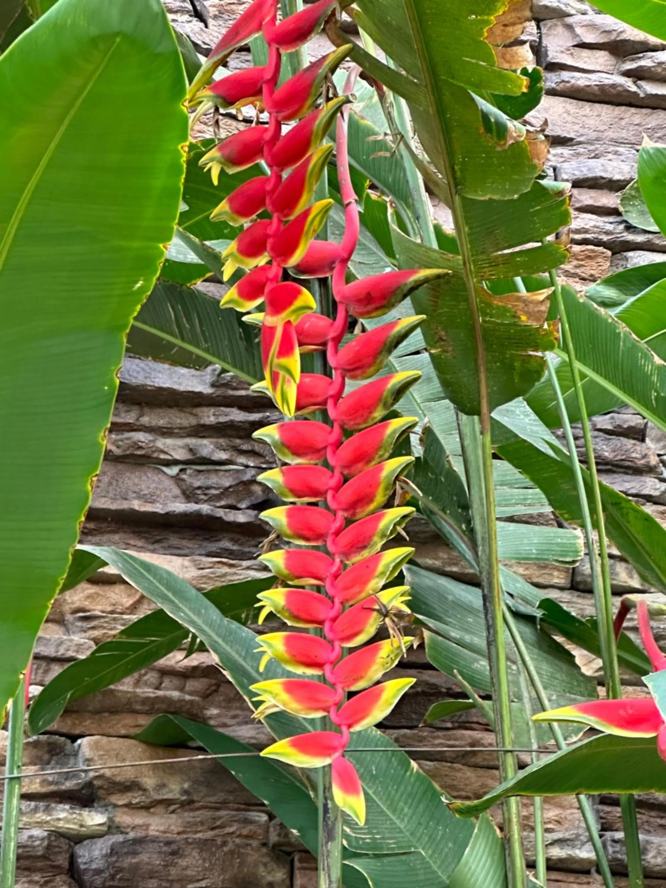 Casa Romance Escondido