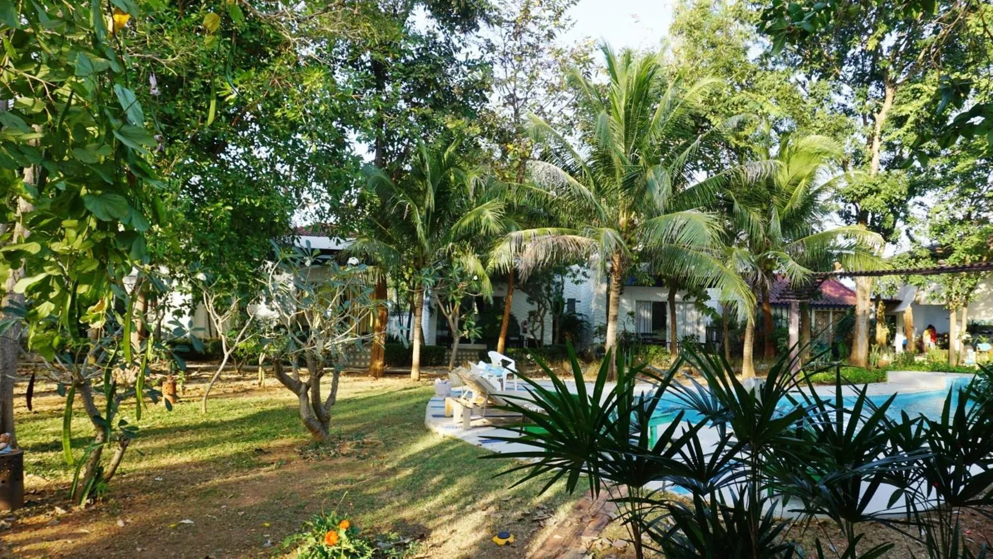 Garden view in Kalamona Seaview