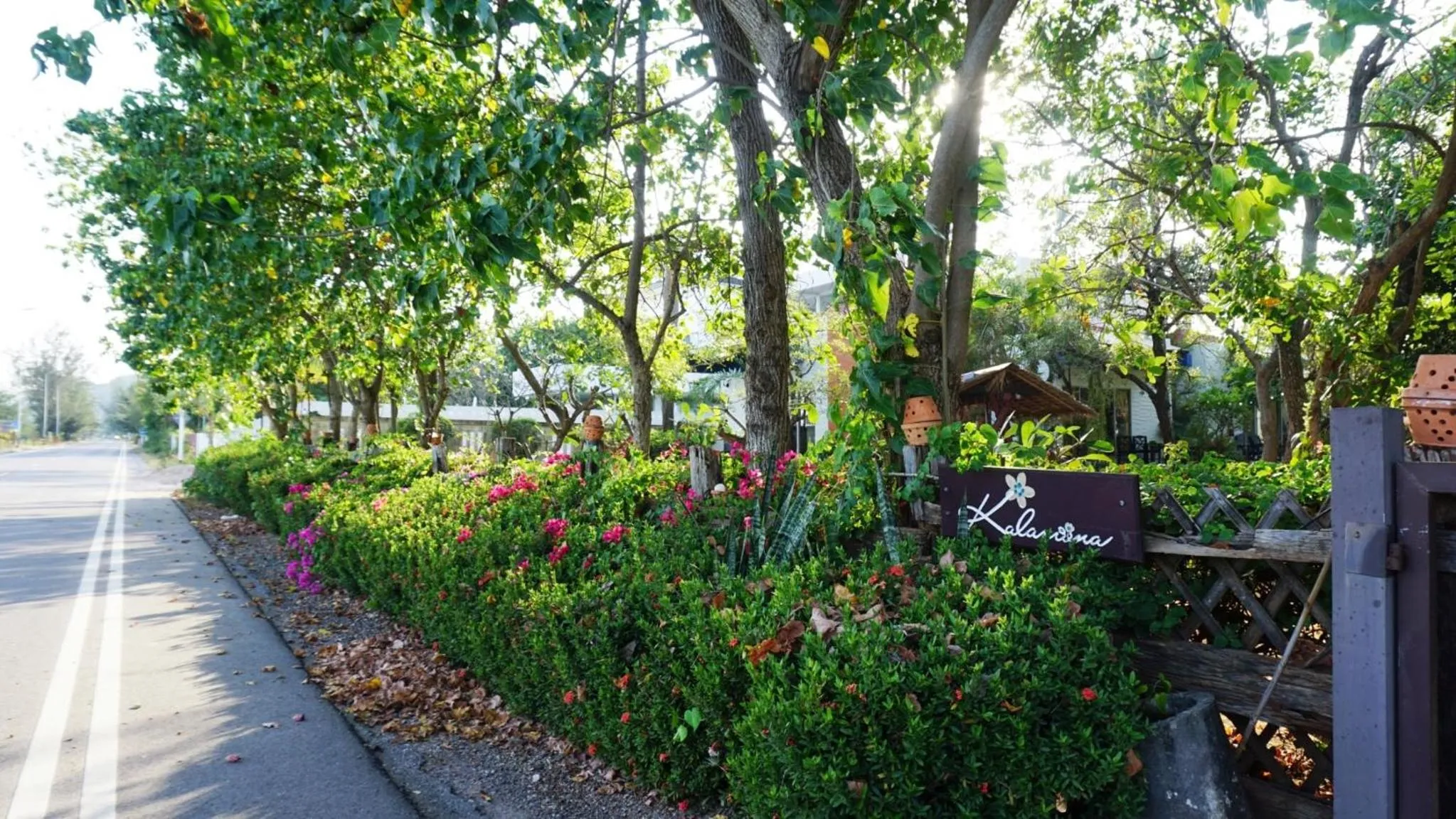 Garden in Kalamona Seaview