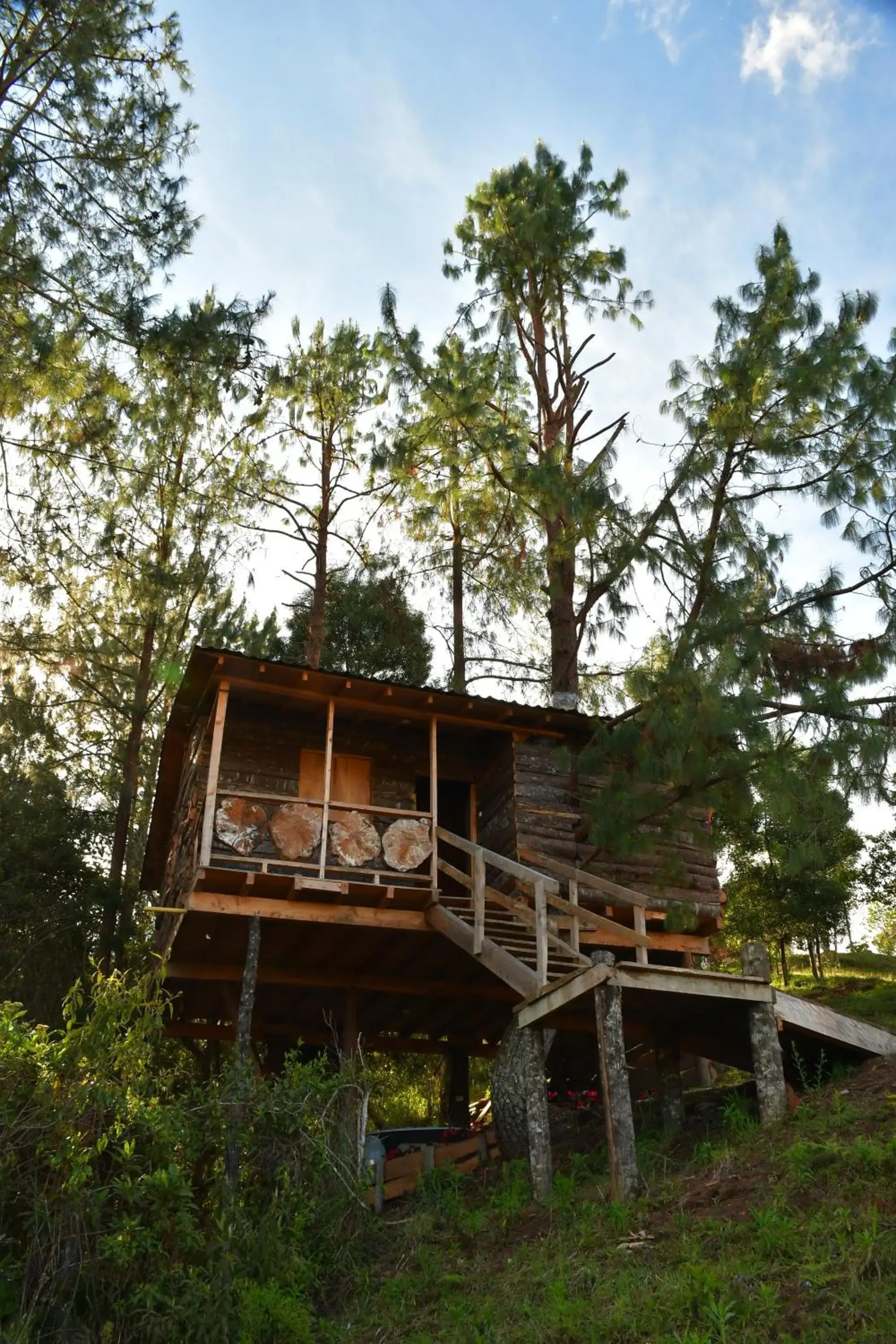 Family Bungalow in Glamping Ancestros Ecoparque Family Bungalow in Glamping Ancestros Ecoparque