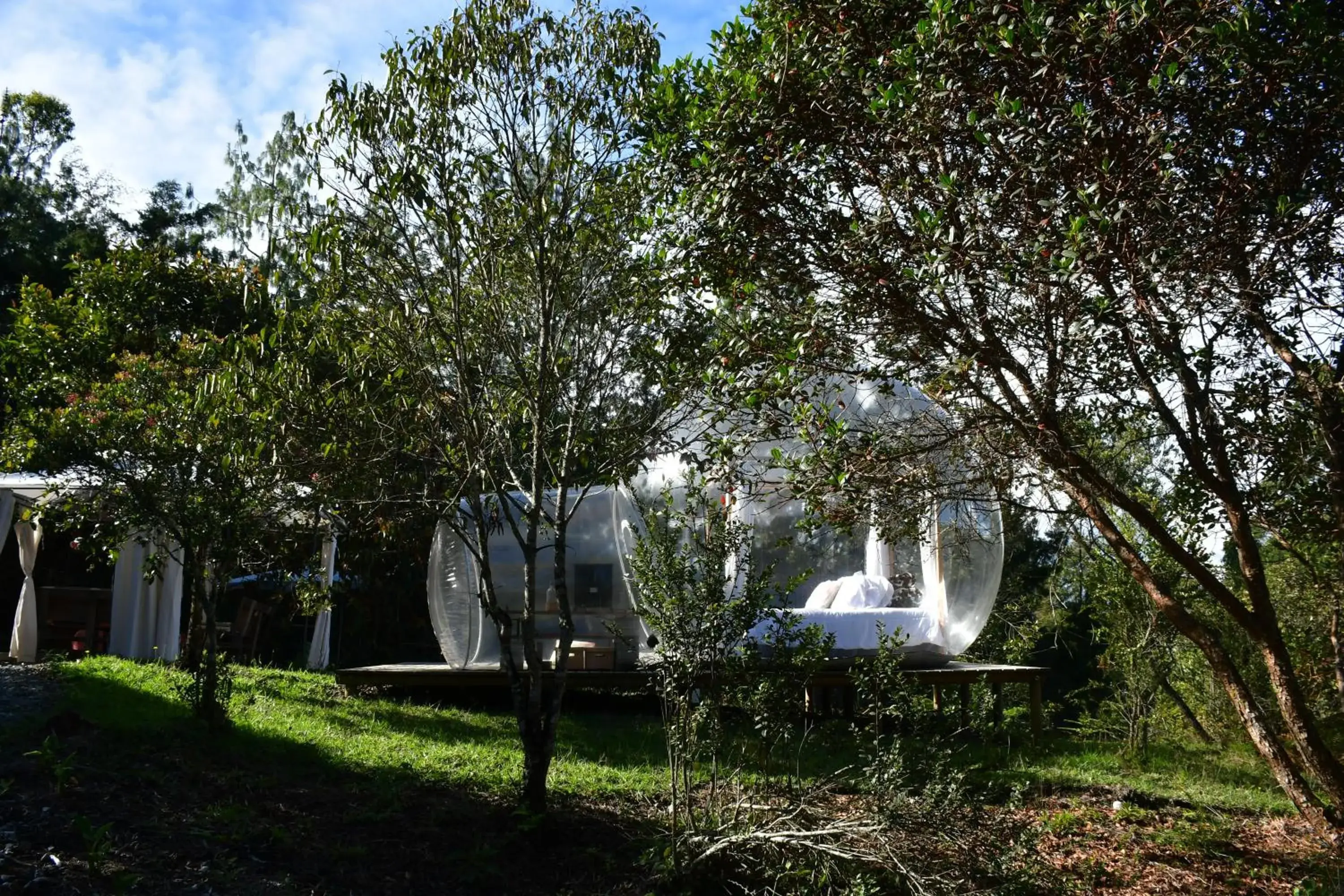 Suite with Spa Bath in Glamping Ancestros Ecoparque Suite with Spa Bath in Glamping Ancestros Ecoparque