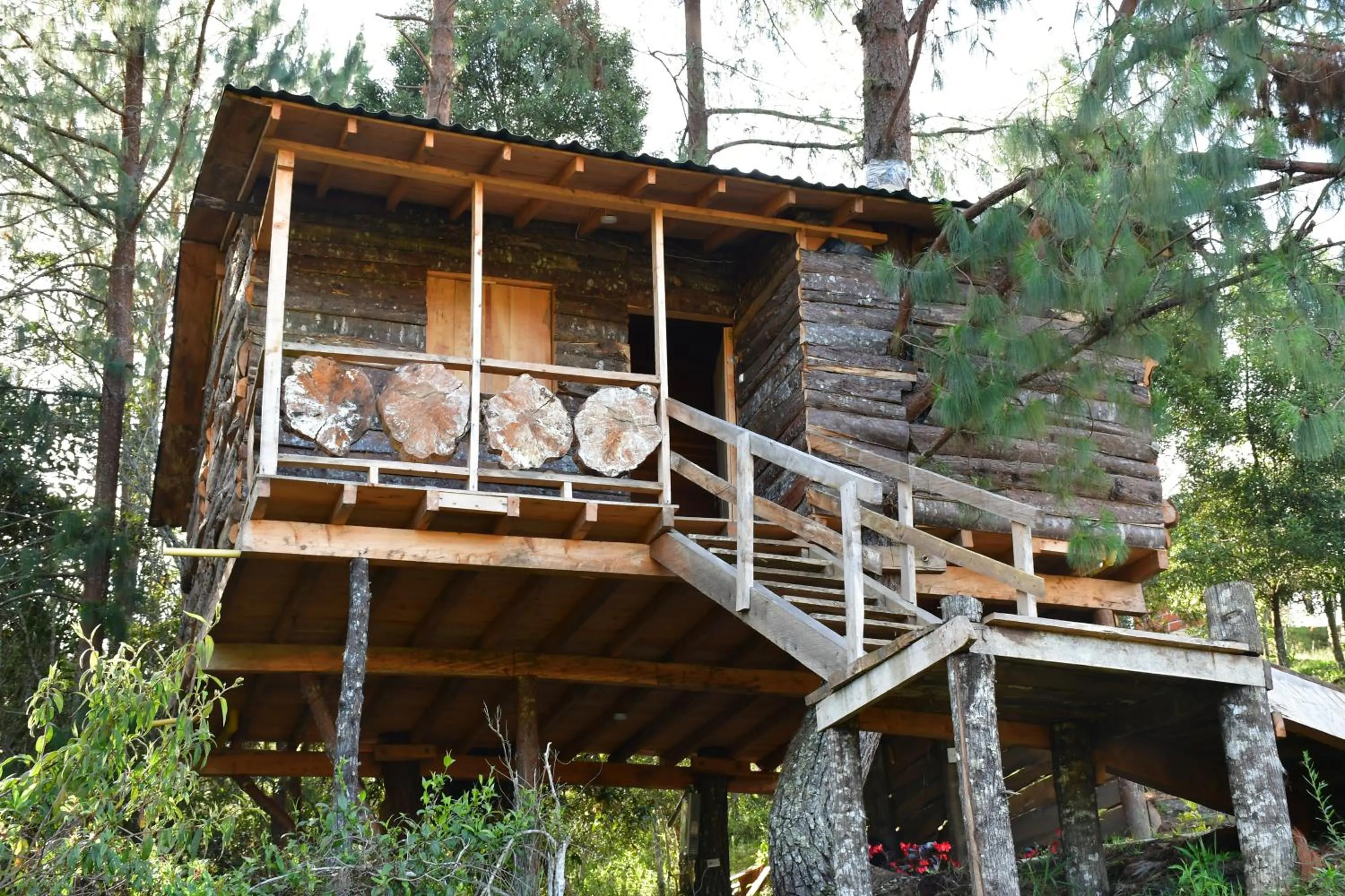 Natural landscape in Glamping Ancestros Ecoparque