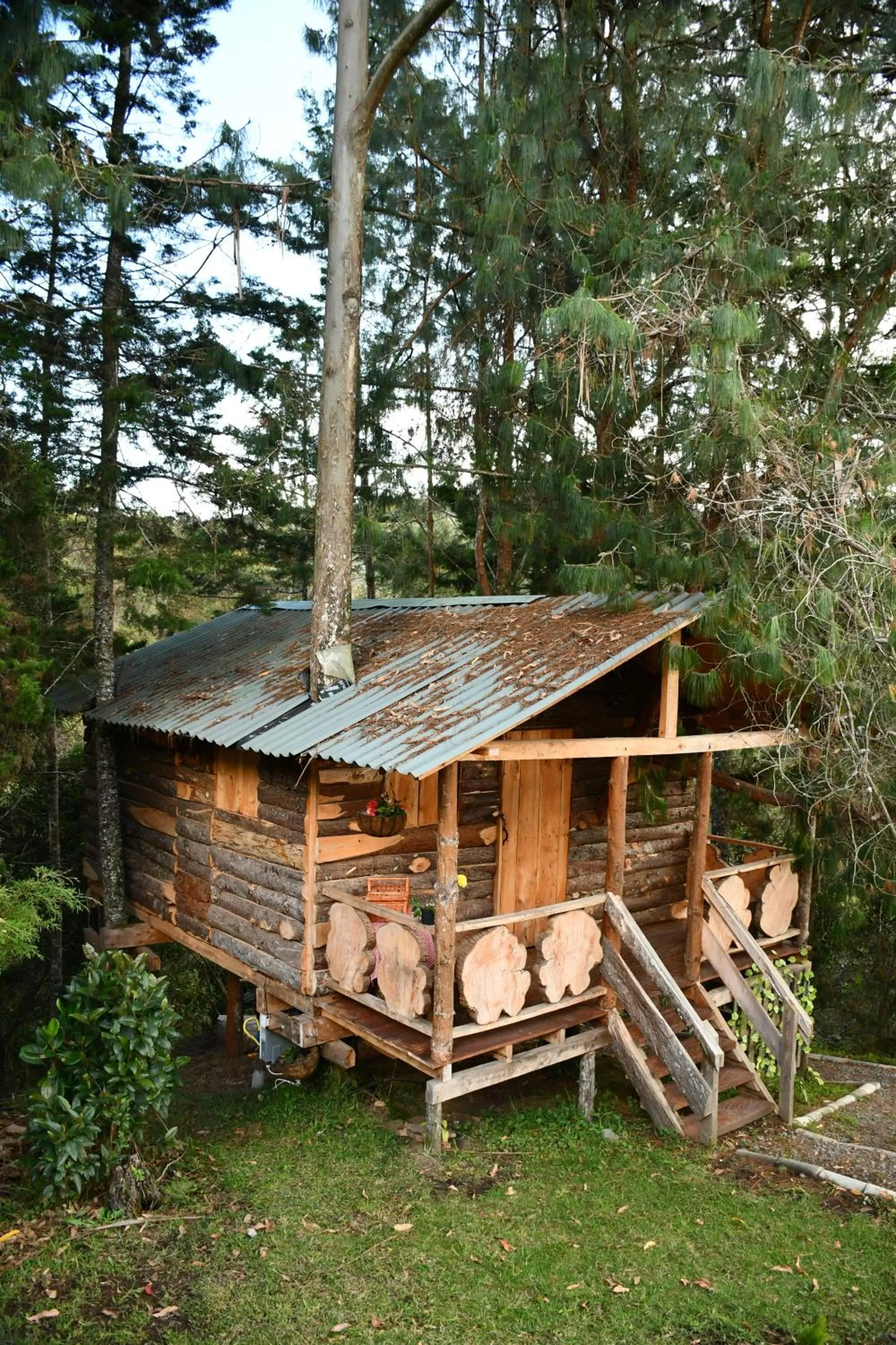 Day in Glamping Ancestros Ecoparque