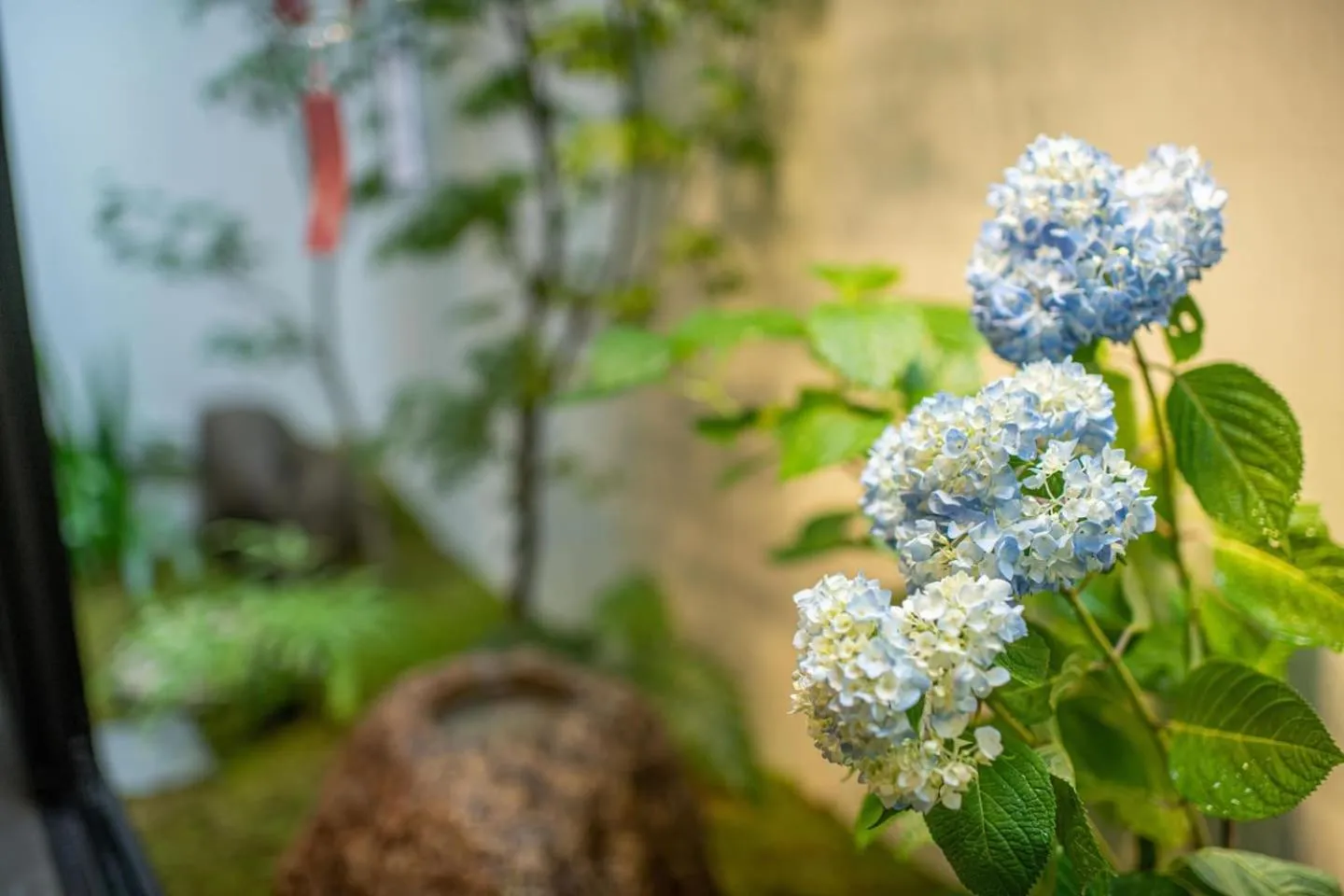 Garden in TABITABI STAY SHINSEN