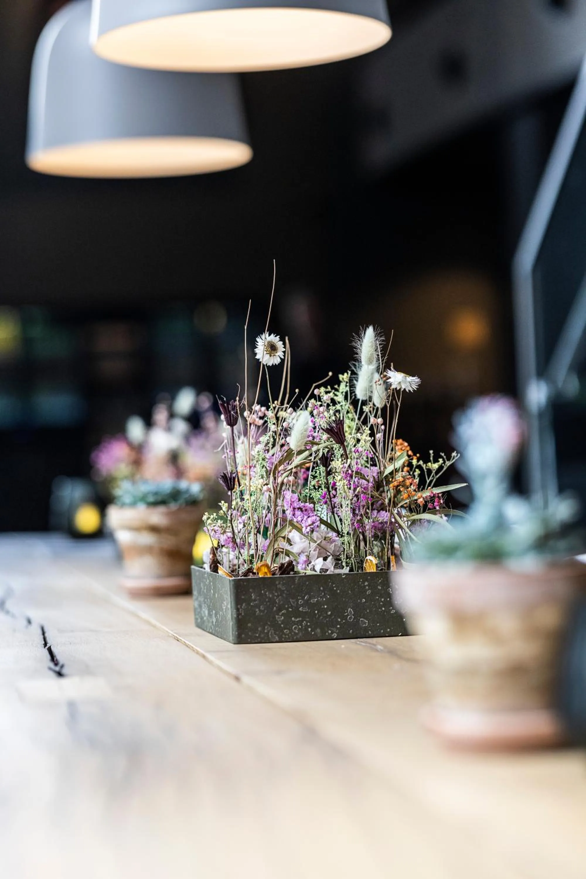 Lounge or bar in Peak 12 Hotel